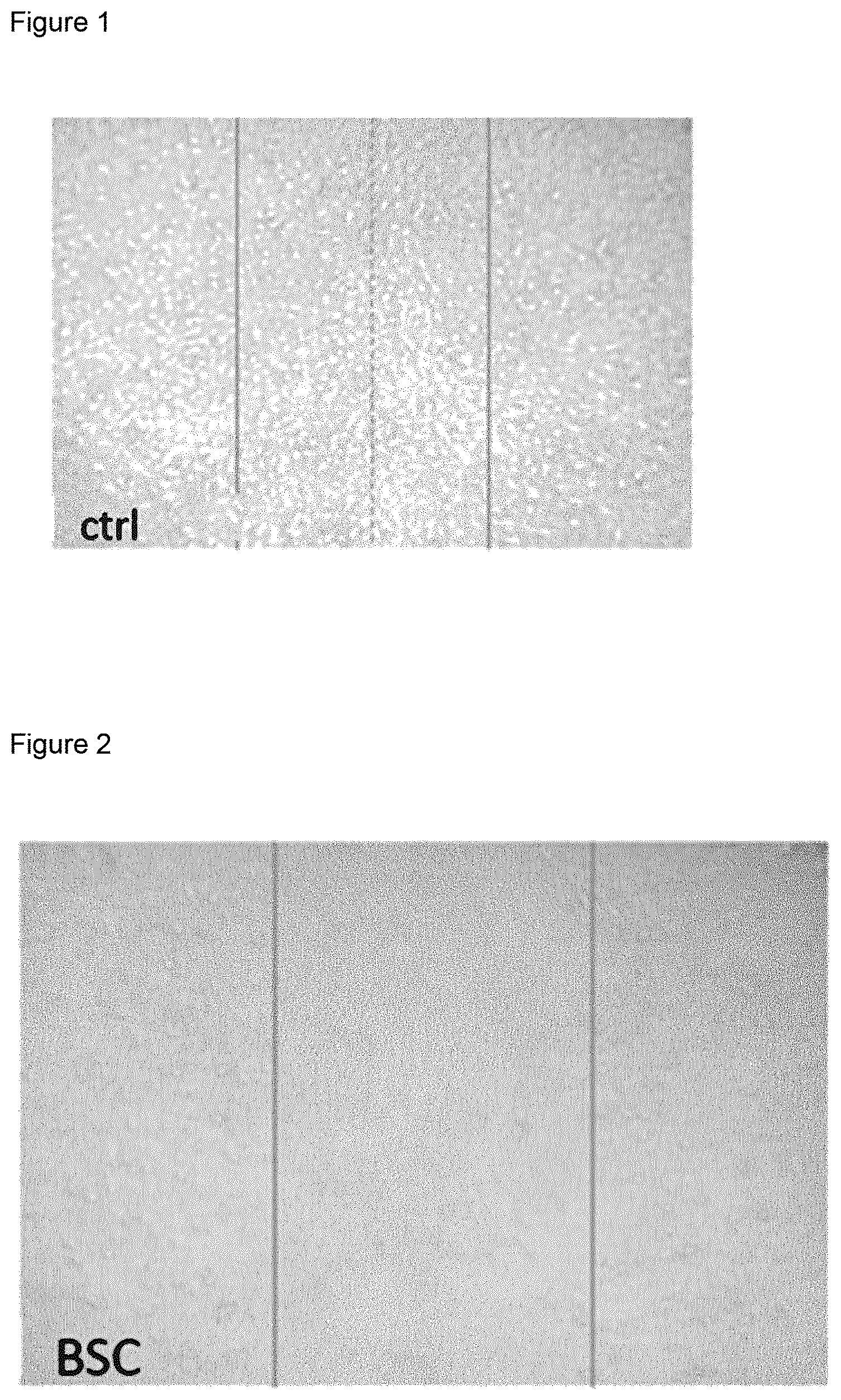 Patent US11779594 Figure 1 – Compositions for the treatment of epithelial lesions