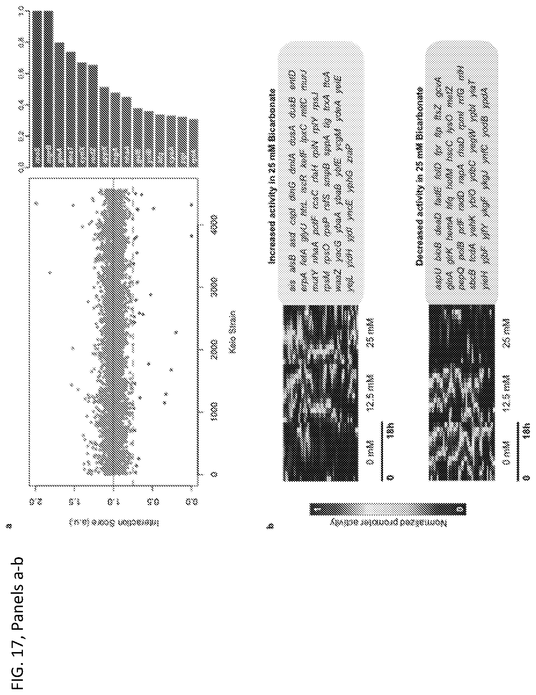 Patent US11779595 Figure 20 – Bicarbonate as a potentiator for antimicrobial agents