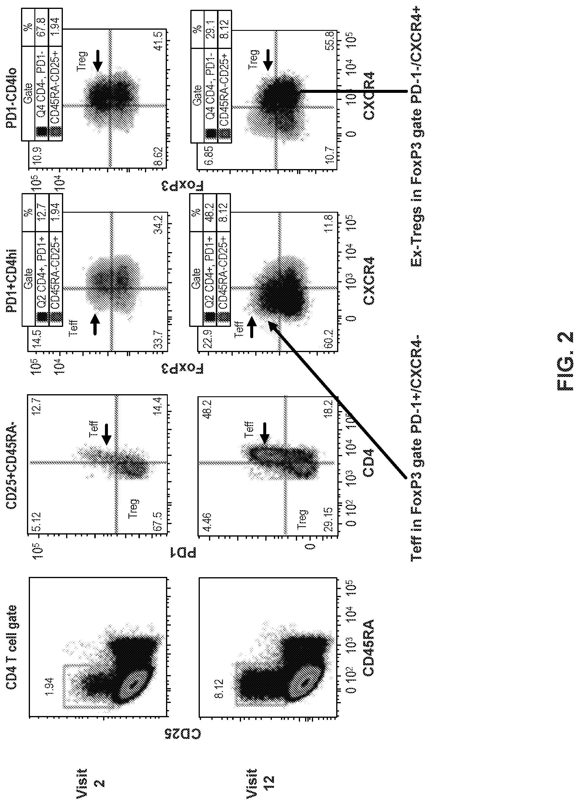 Patent US11779599 Figure 2 – Methods and uses for dendritic cell therapy