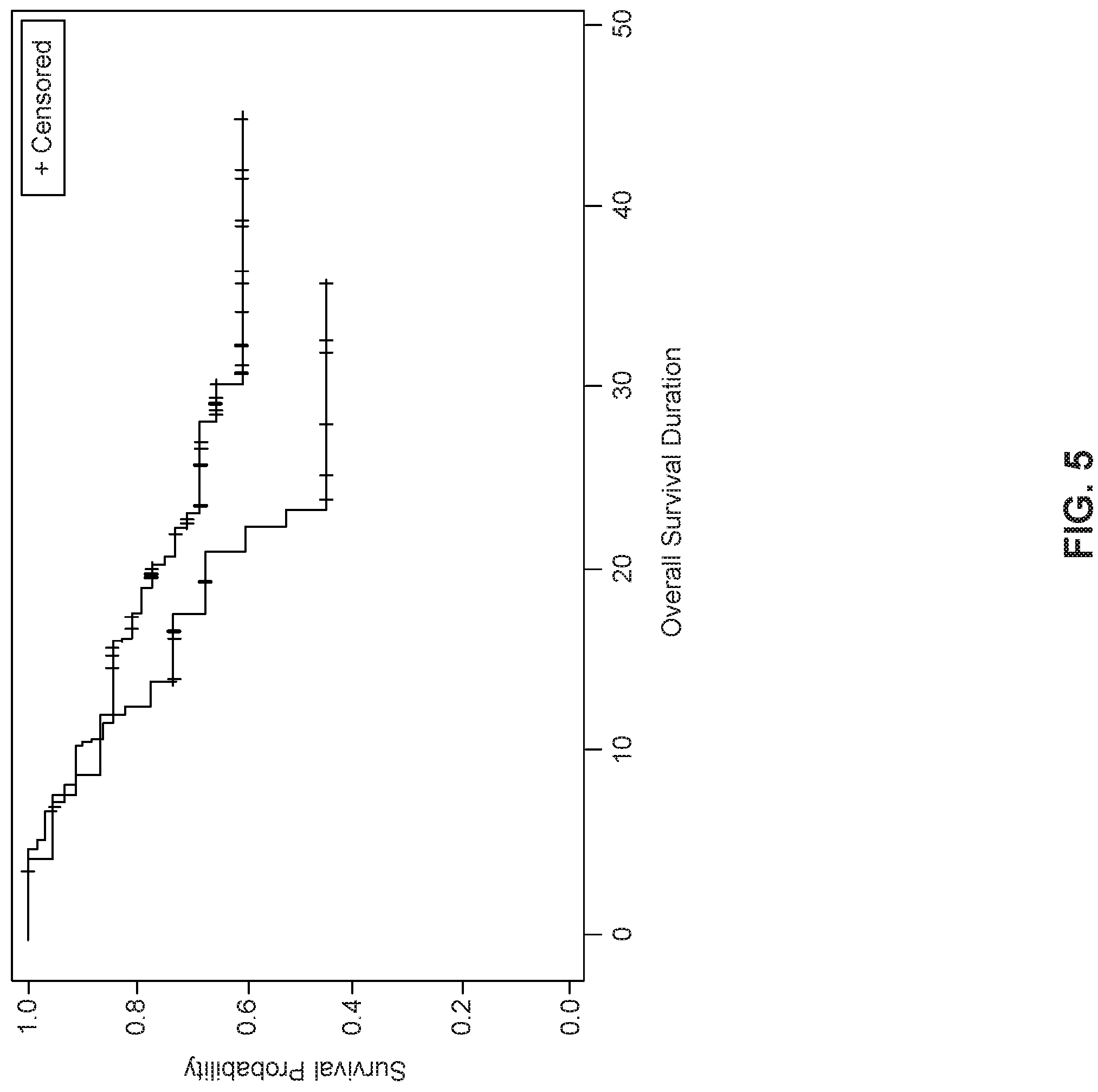 Patent US11779599 Figure 5 – Methods and uses for dendritic cell therapy