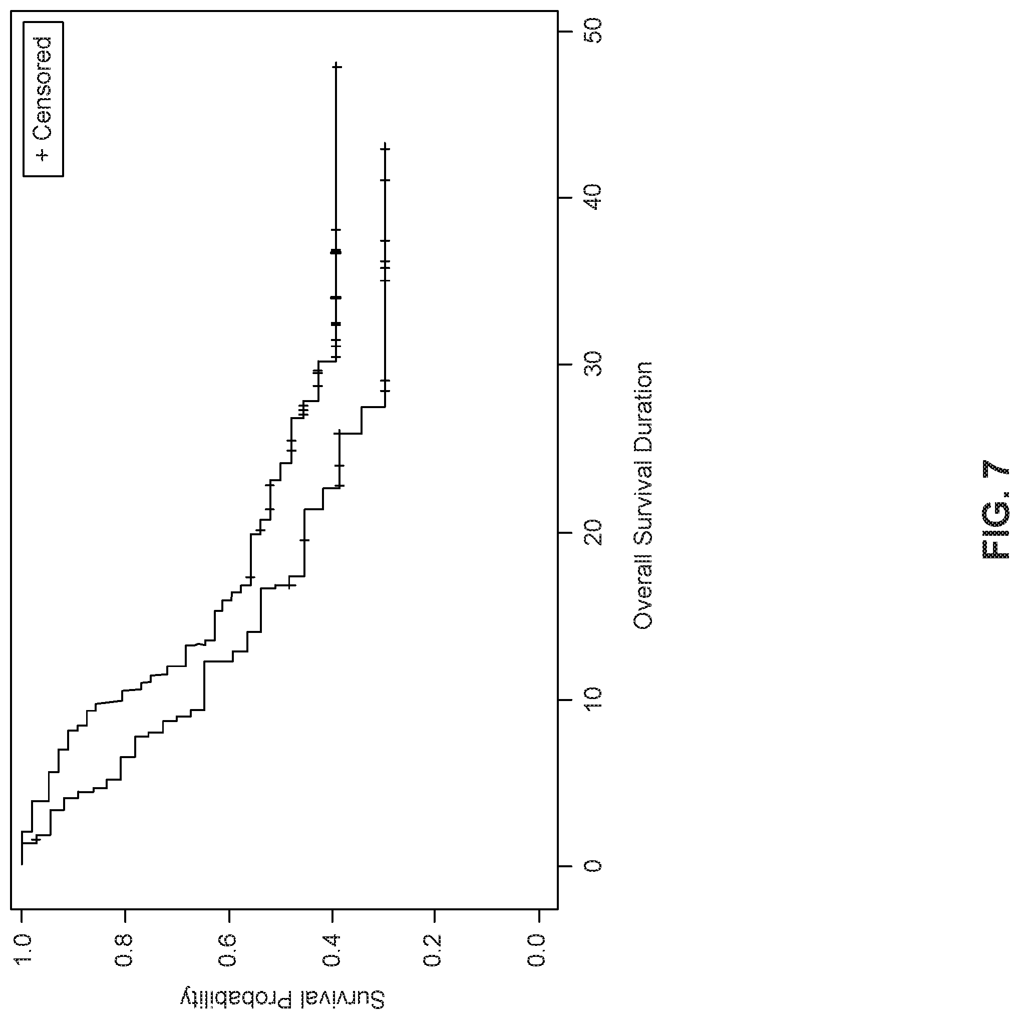 Patent US11779599 Figure 7 – Methods and uses for dendritic cell therapy