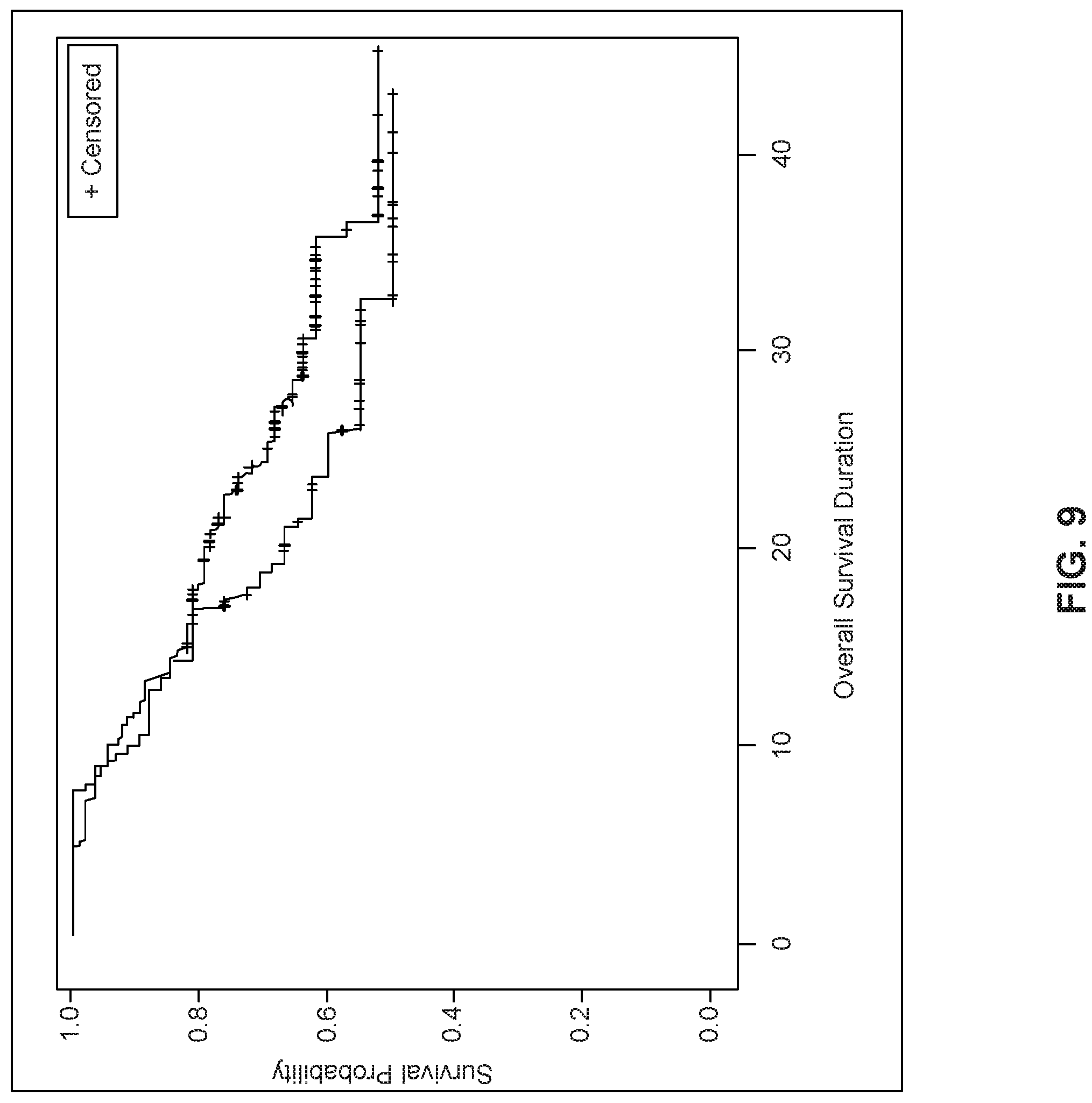 Patent US11779599 Figure 9 – Methods and uses for dendritic cell therapy