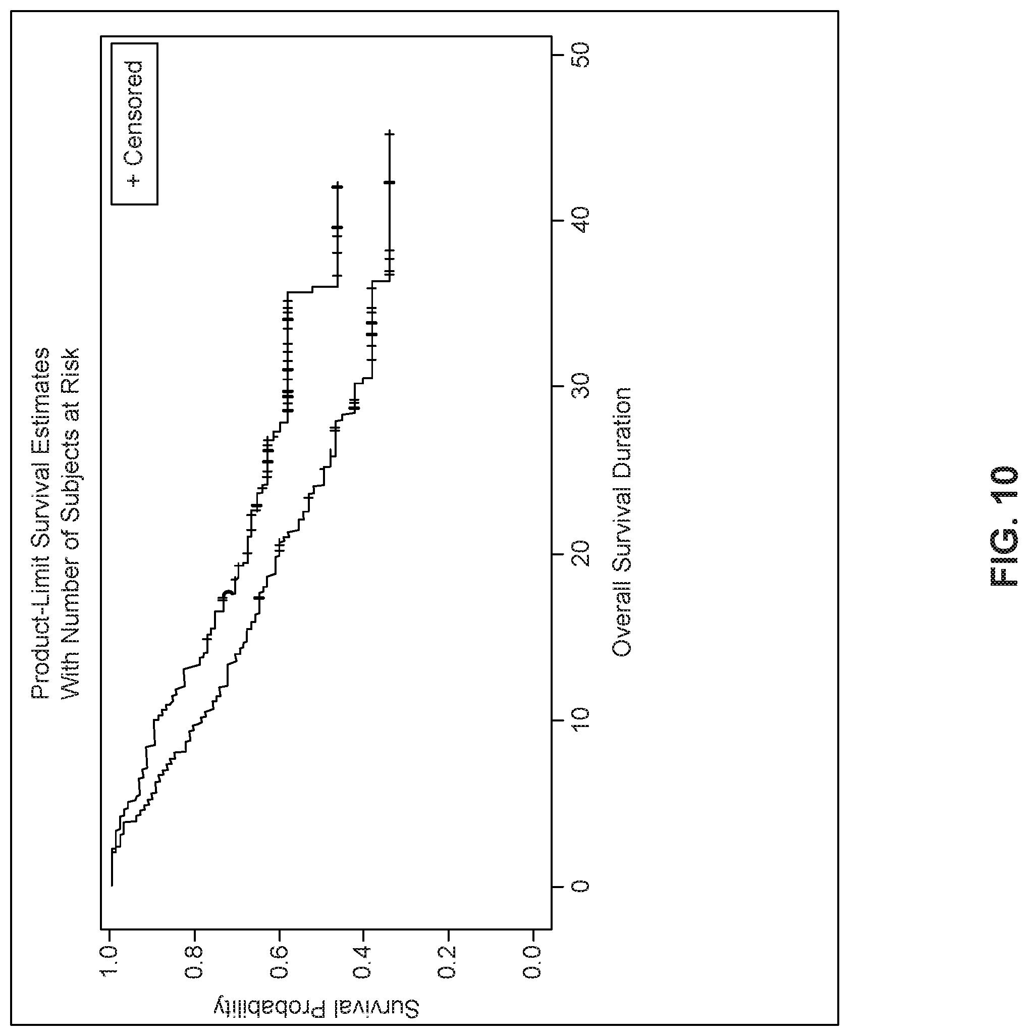 Patent US11779599 Figure 10 – Methods and uses for dendritic cell therapy