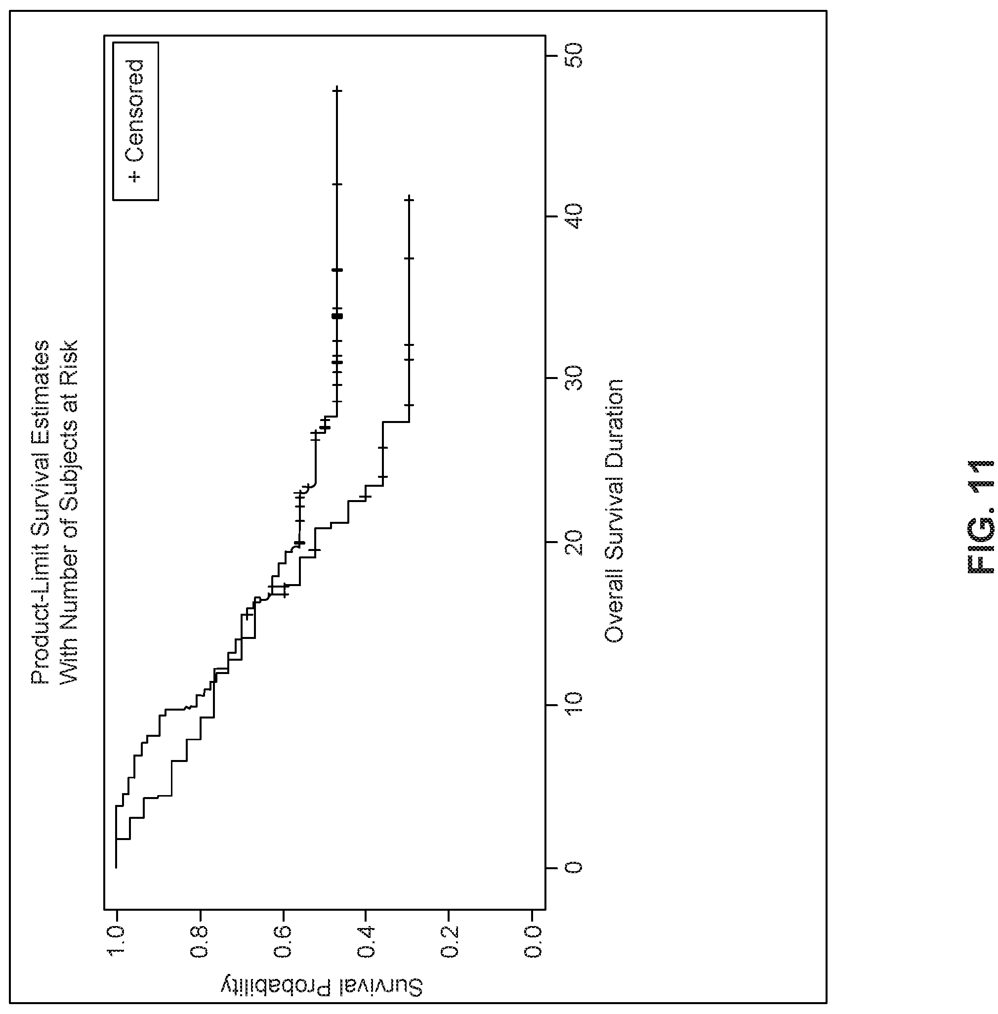 Patent US11779599 Figure 11 – Methods and uses for dendritic cell therapy