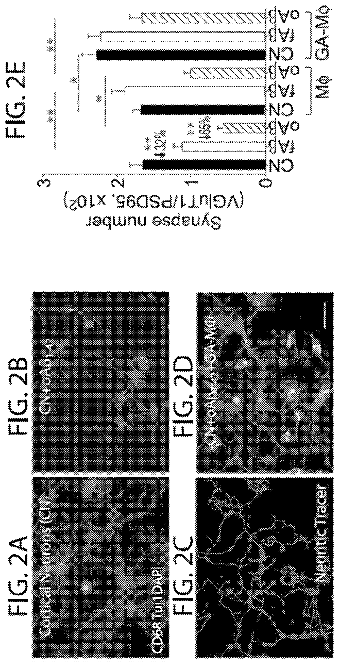 Patent US11779600 Figure 2 – Methods of treating or preventing alzheimer's disease and associated conditions