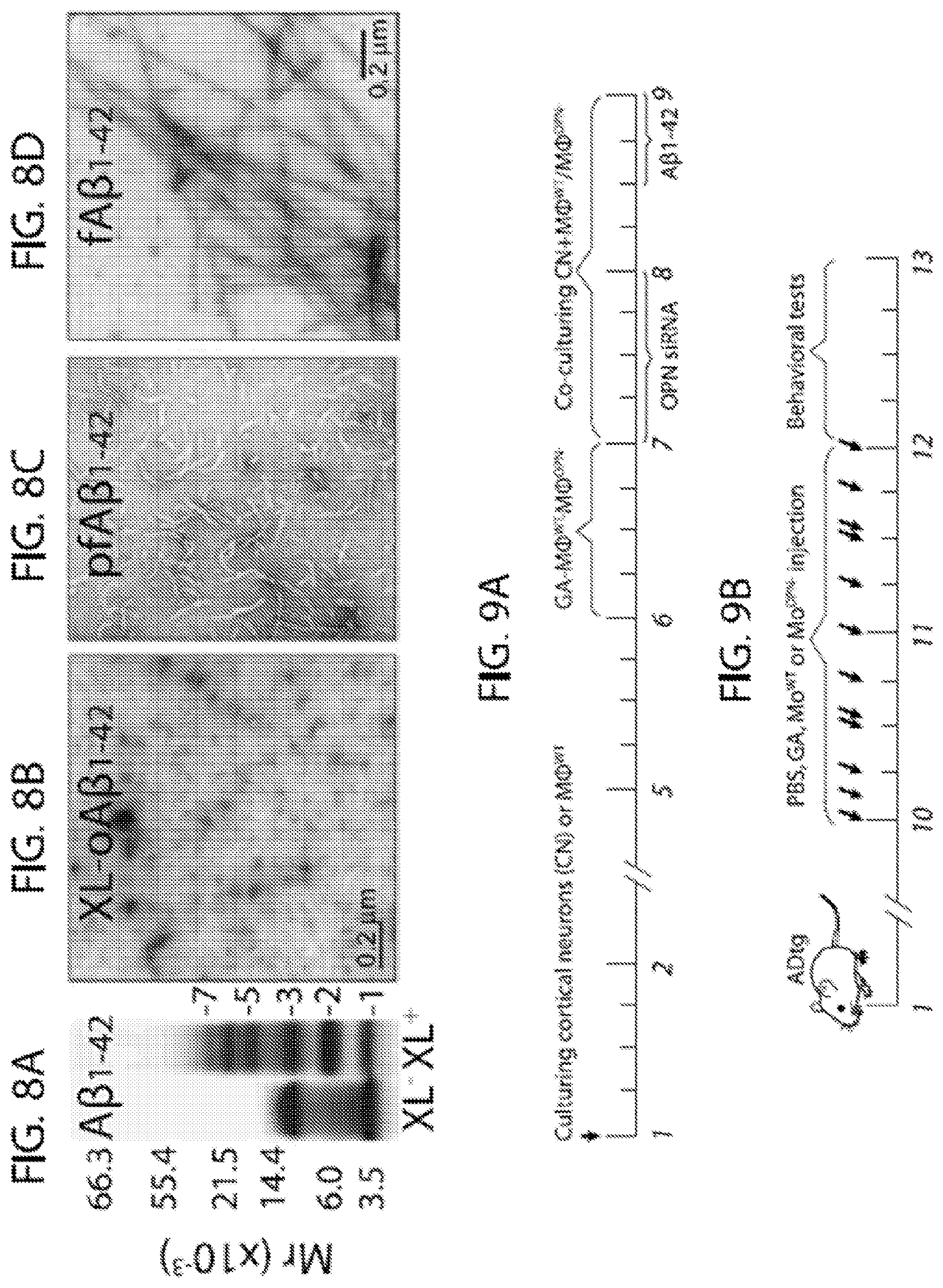 Patent US11779600 Figure 7 – Methods of treating or preventing alzheimer's disease and associated conditions