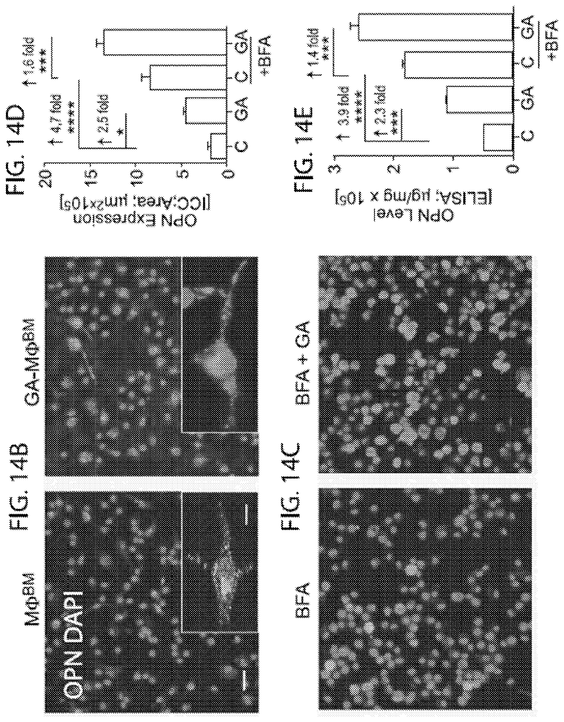 Patent US11779600 Figure 17 – Methods of treating or preventing alzheimer's disease and associated conditions