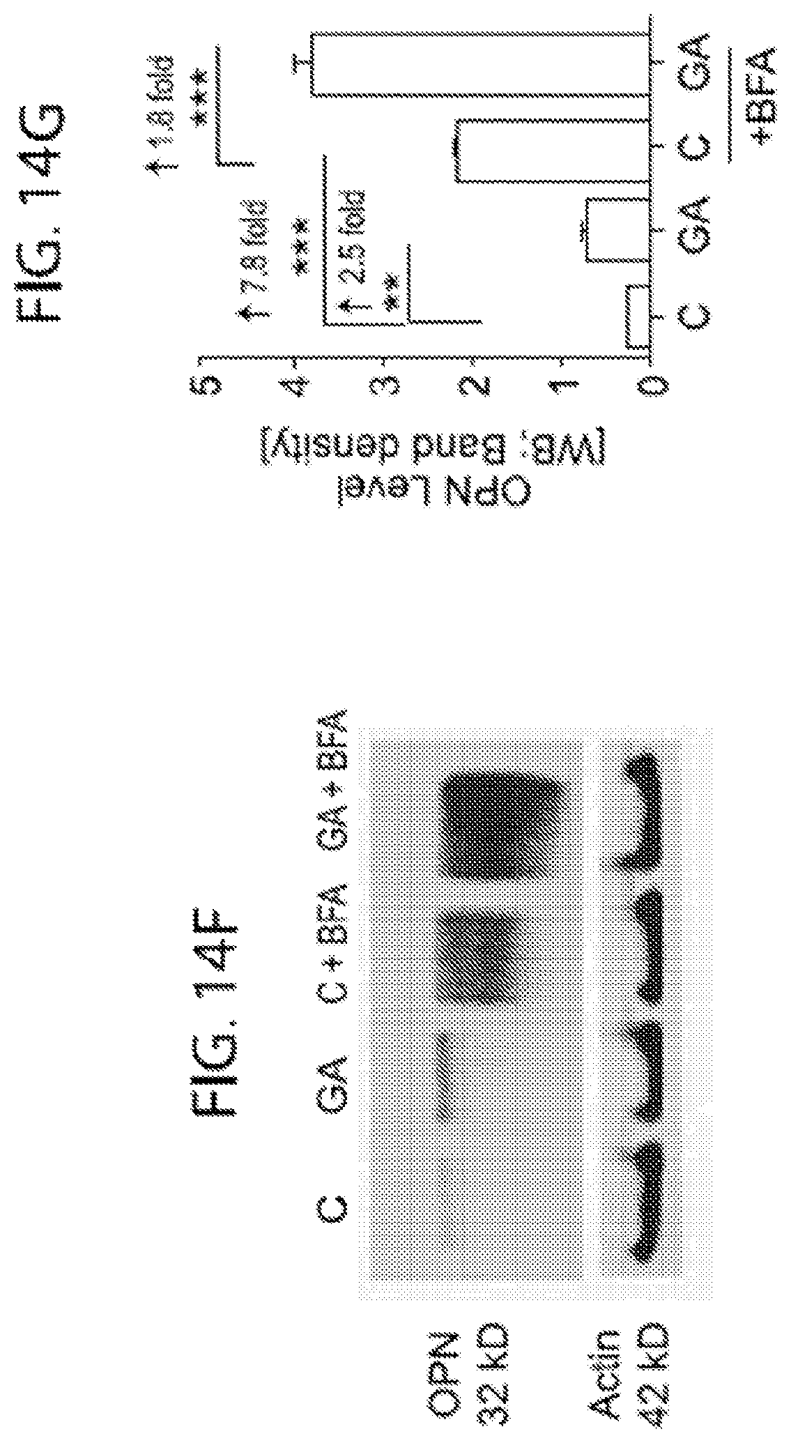 Patent US11779600 Figure 18 – Methods of treating or preventing alzheimer's disease and associated conditions