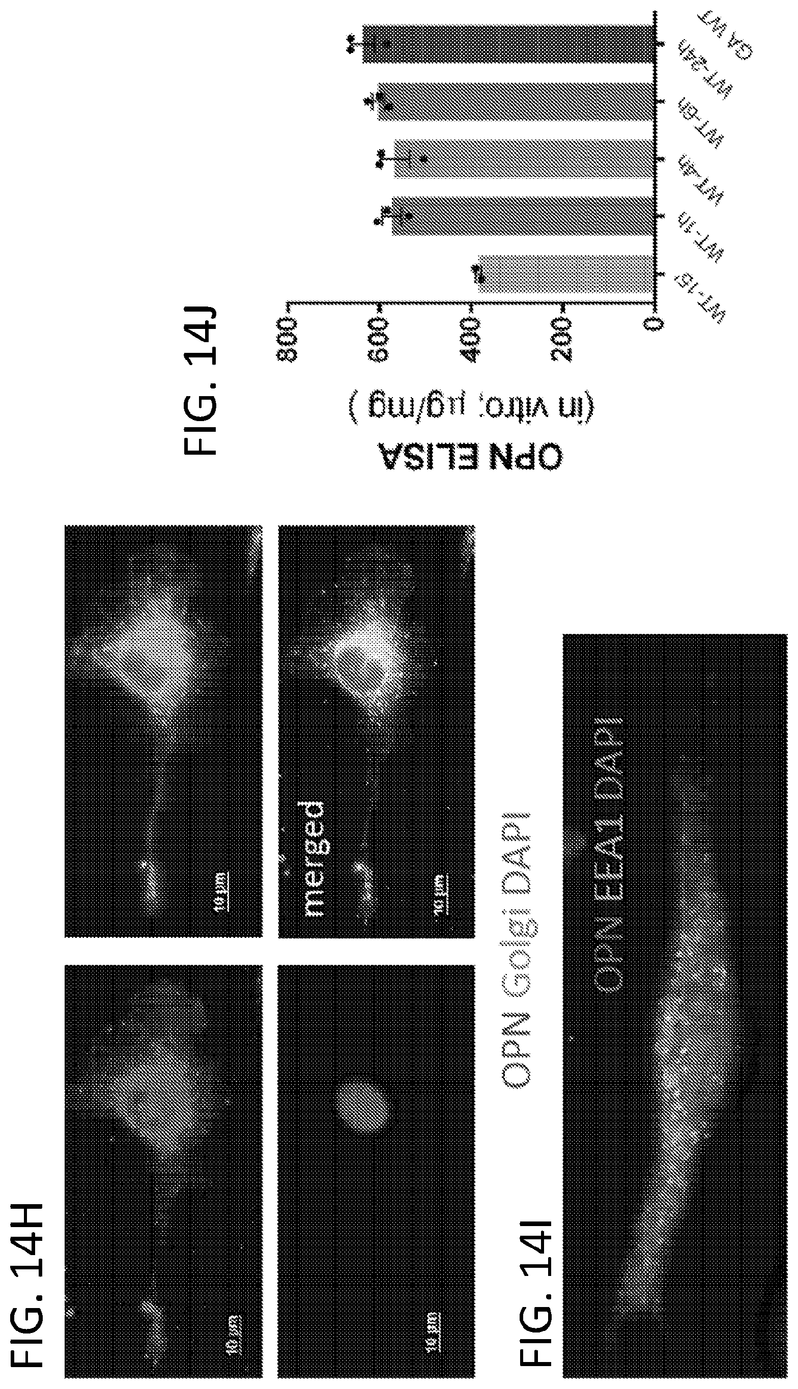 Patent US11779600 Figure 19 – Methods of treating or preventing alzheimer's disease and associated conditions