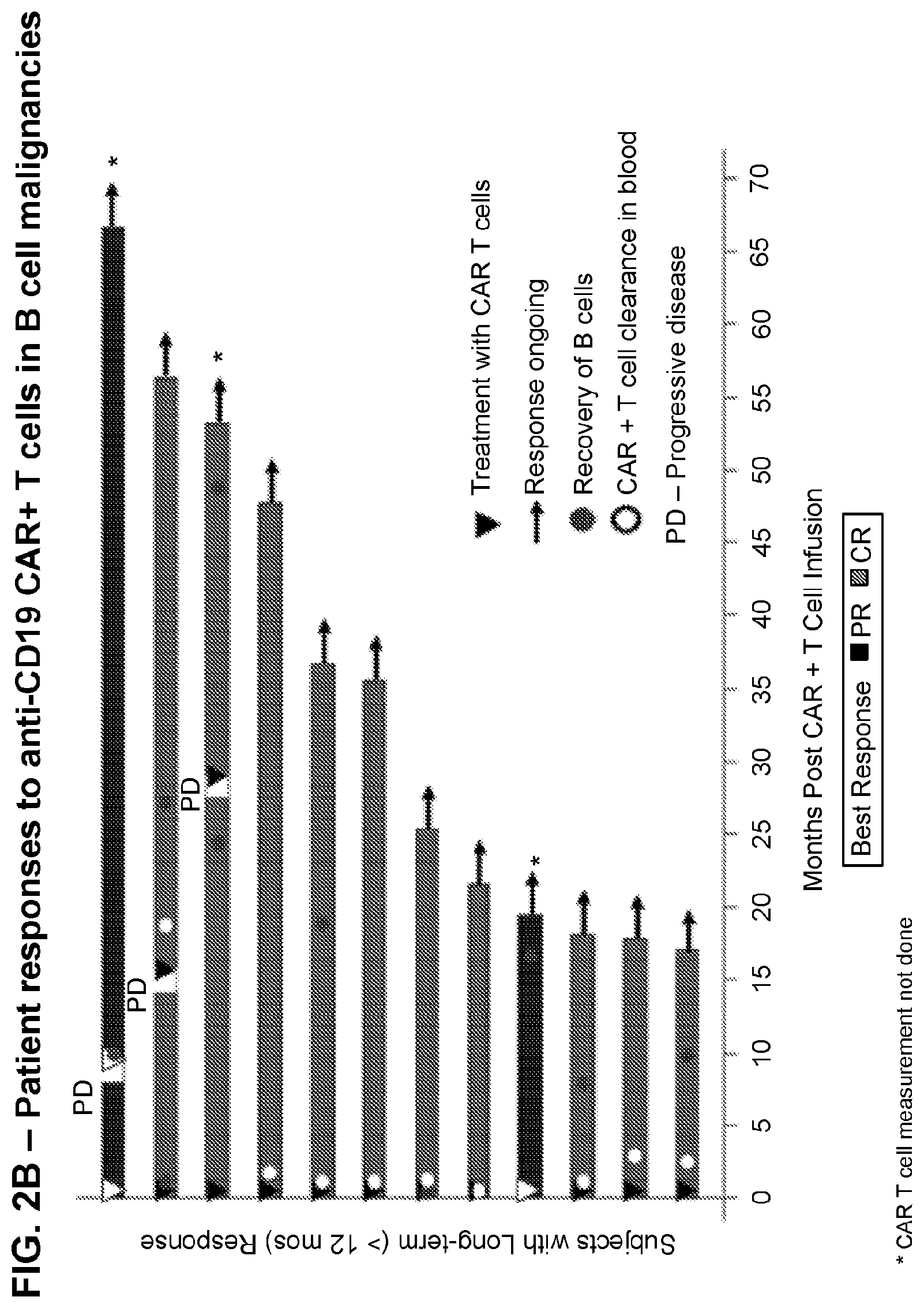Patent US11779601 Figure 3 – Diagnostic methods for T cell therapy