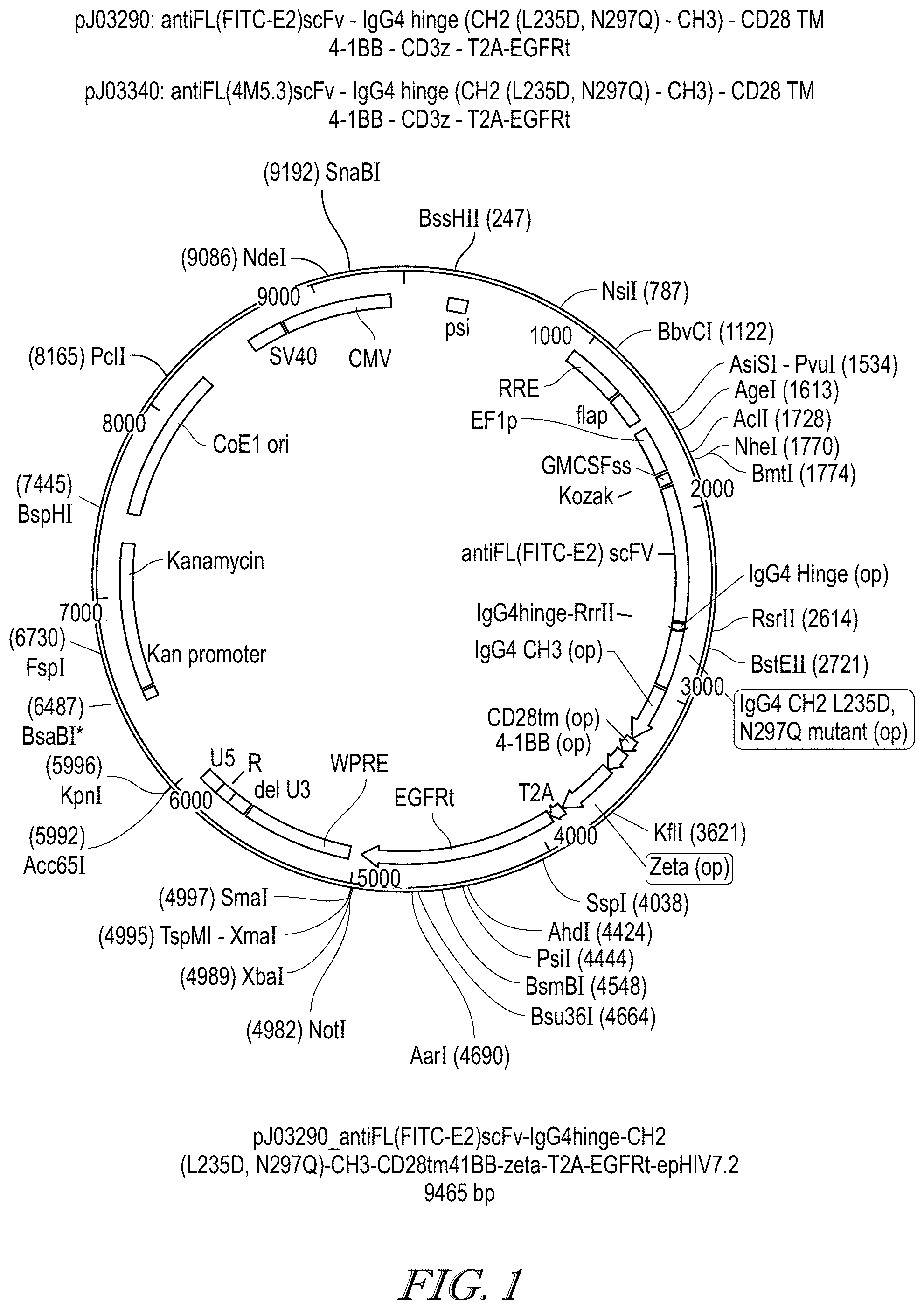 Patent US11779602 Figure 1 – Methods of use for CAR T cells