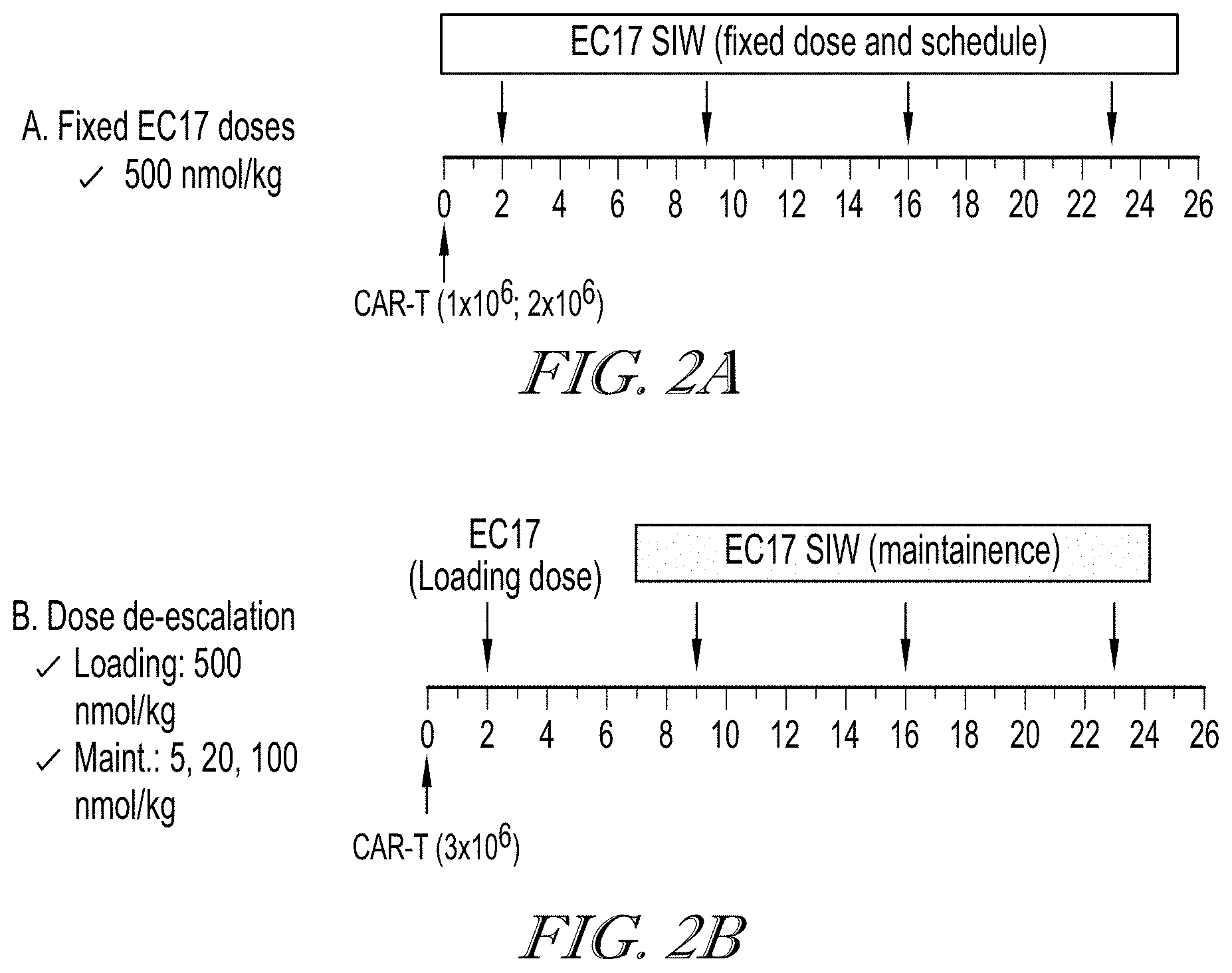 Patent US11779602 Figure 2 – Methods of use for CAR T cells