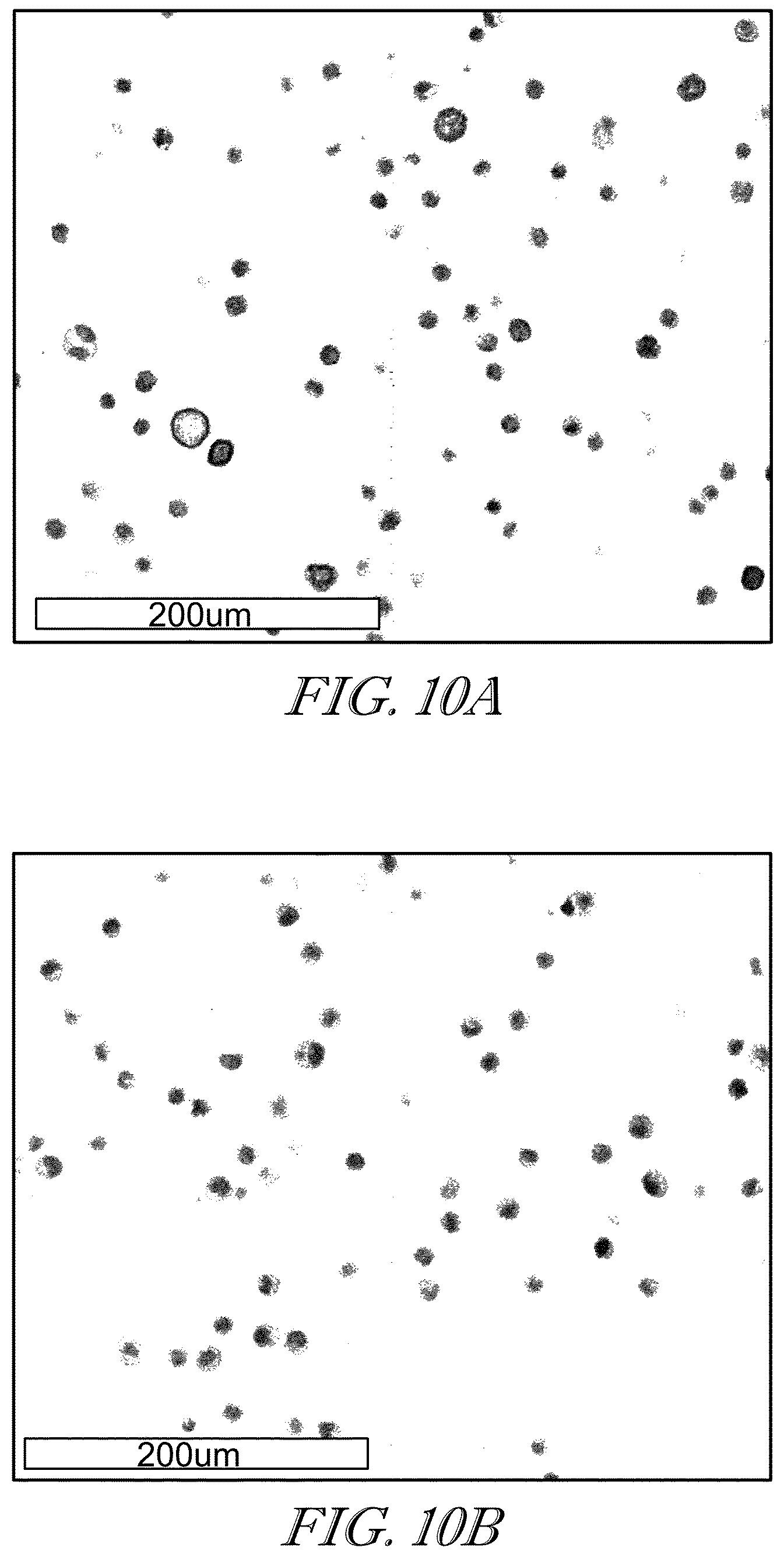 Patent US11779602 Figure 10 – Methods of use for CAR T cells