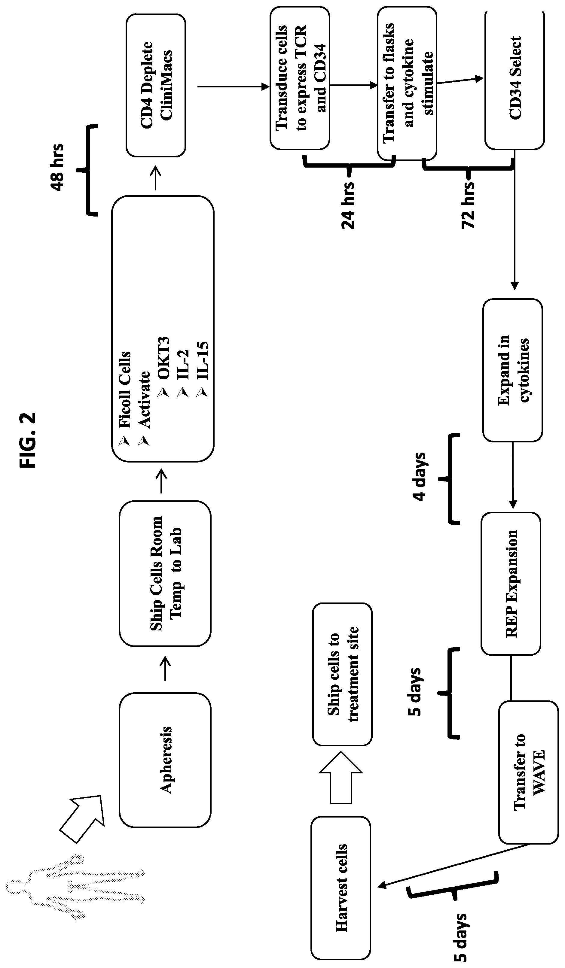 Patent US11779603 Figure 2 – HERV-E reactive T cell receptors and methods of use
