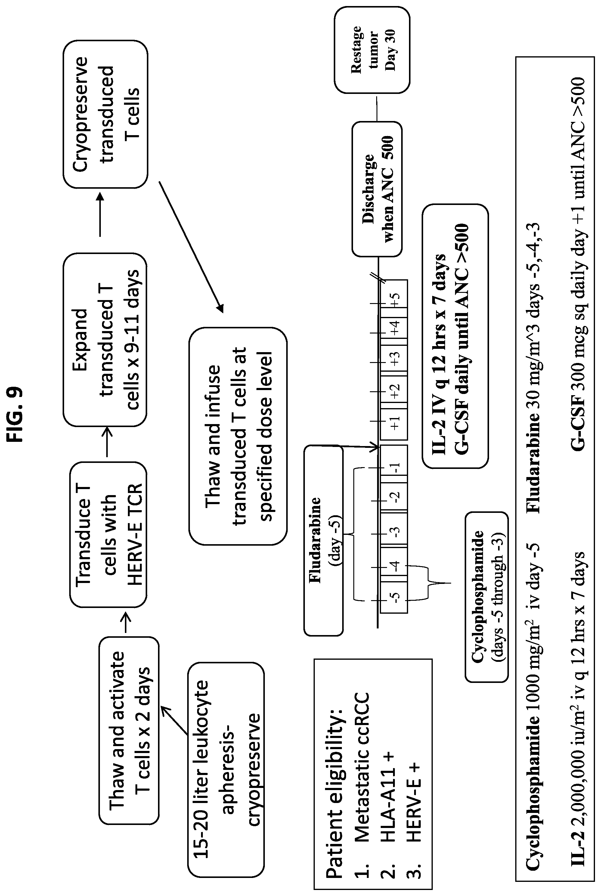Patent US11779603 Figure 9 – HERV-E reactive T cell receptors and methods of use