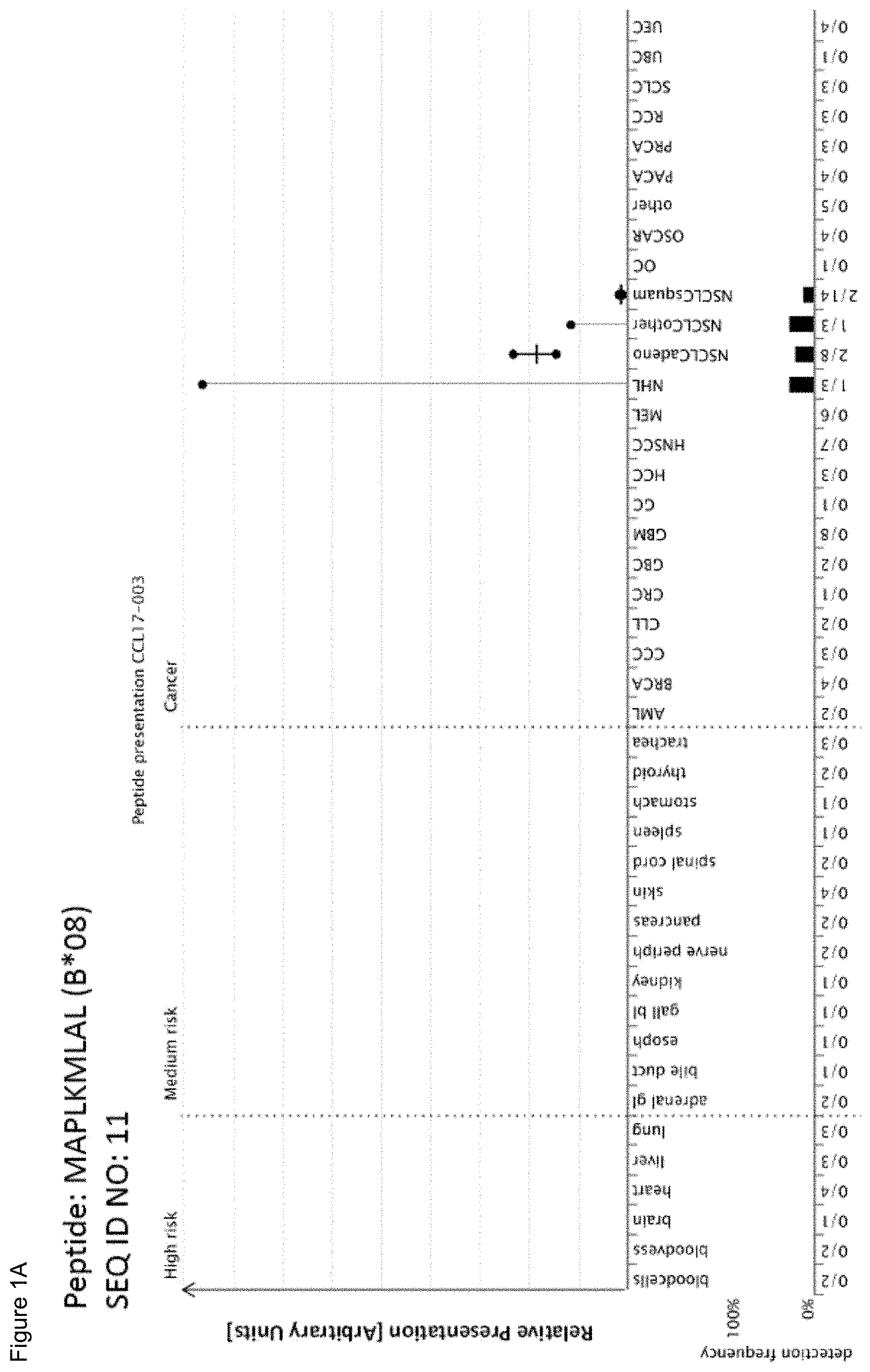 Patent US11779605 Figure 1 – Immunotherapy with b*08 restricted peptides and combination of peptides against cancers and related methods