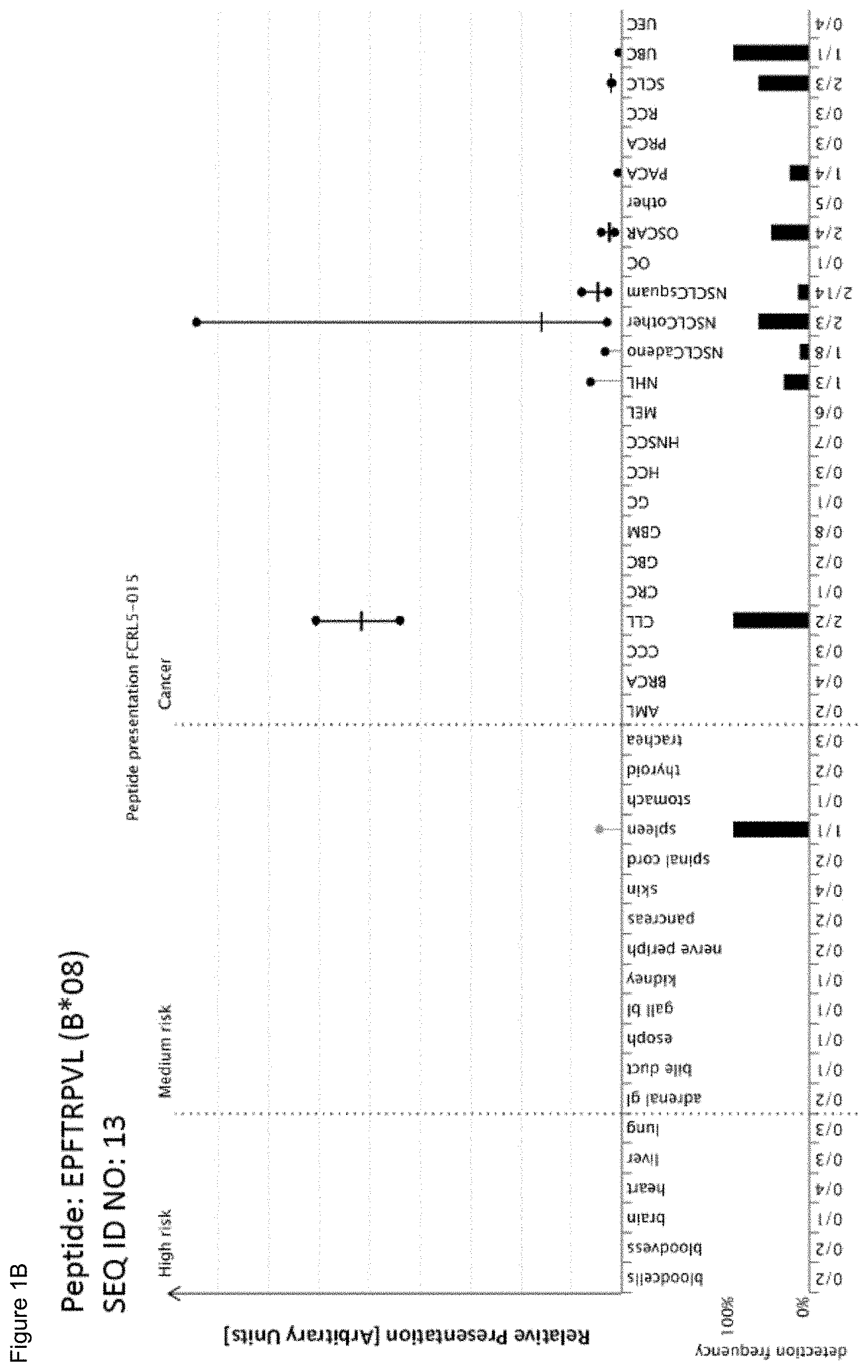 Patent US11779605 Figure 2 – Immunotherapy with b*08 restricted peptides and combination of peptides against cancers and related methods