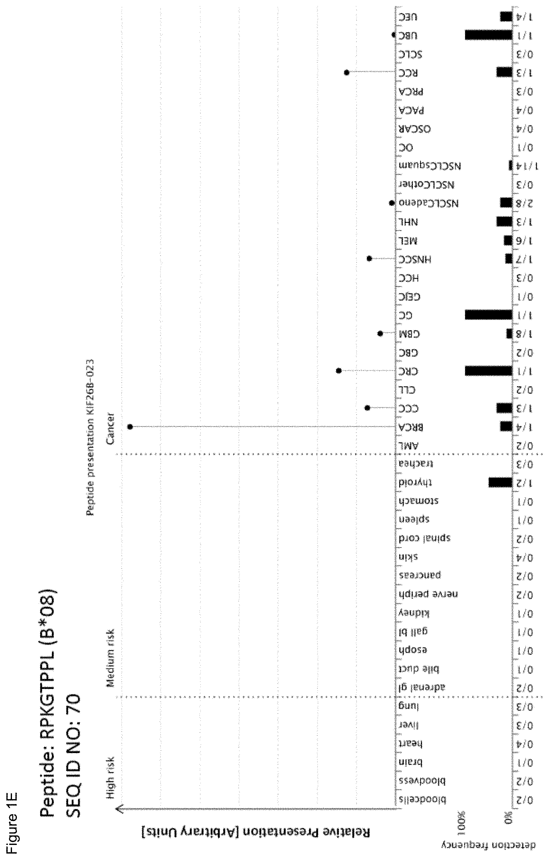 Patent US11779605 Figure 5 – Immunotherapy with b*08 restricted peptides and combination of peptides against cancers and related methods