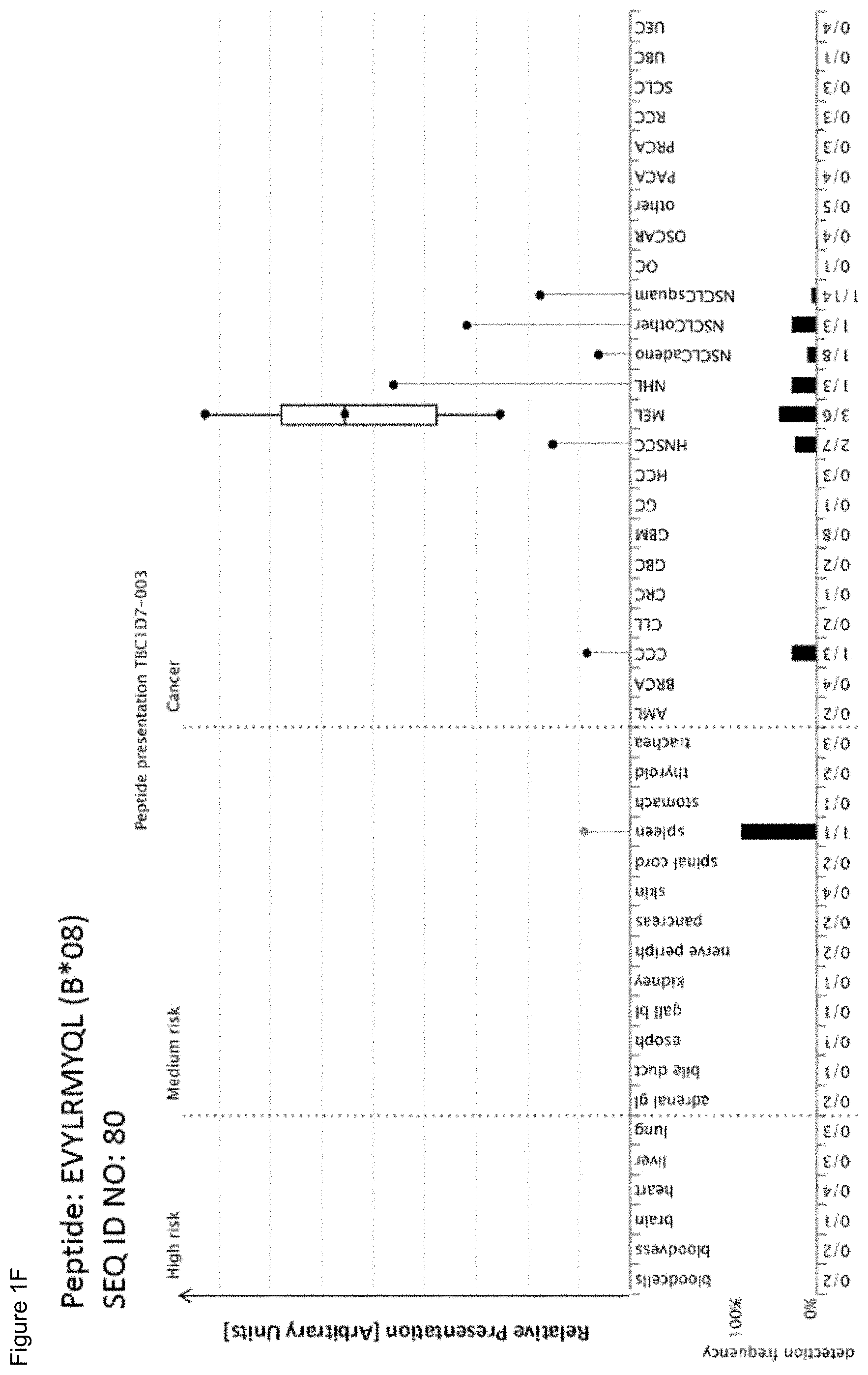 Patent US11779605 Figure 6 – Immunotherapy with b*08 restricted peptides and combination of peptides against cancers and related methods