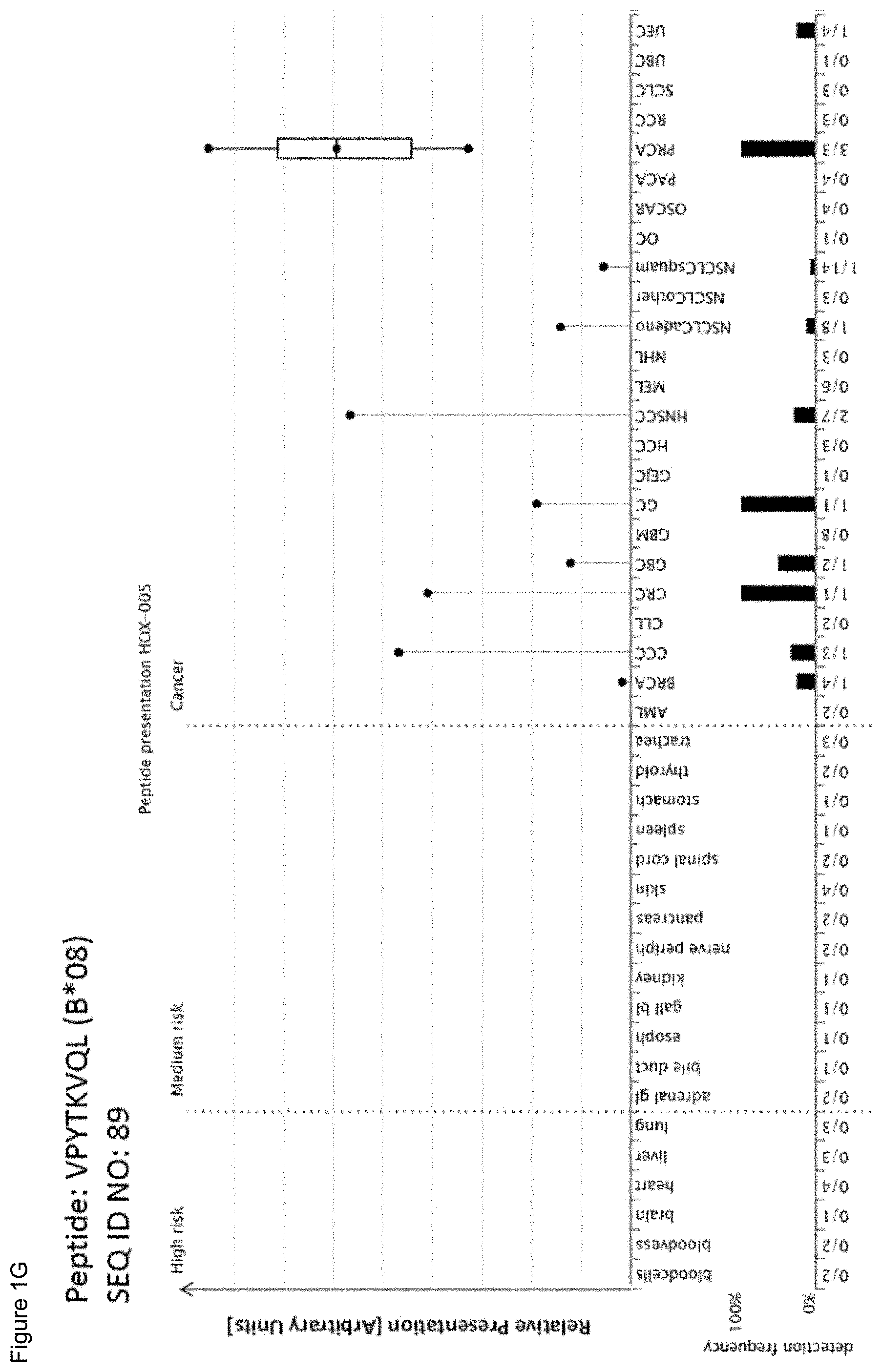 Patent US11779605 Figure 7 – Immunotherapy with b*08 restricted peptides and combination of peptides against cancers and related methods