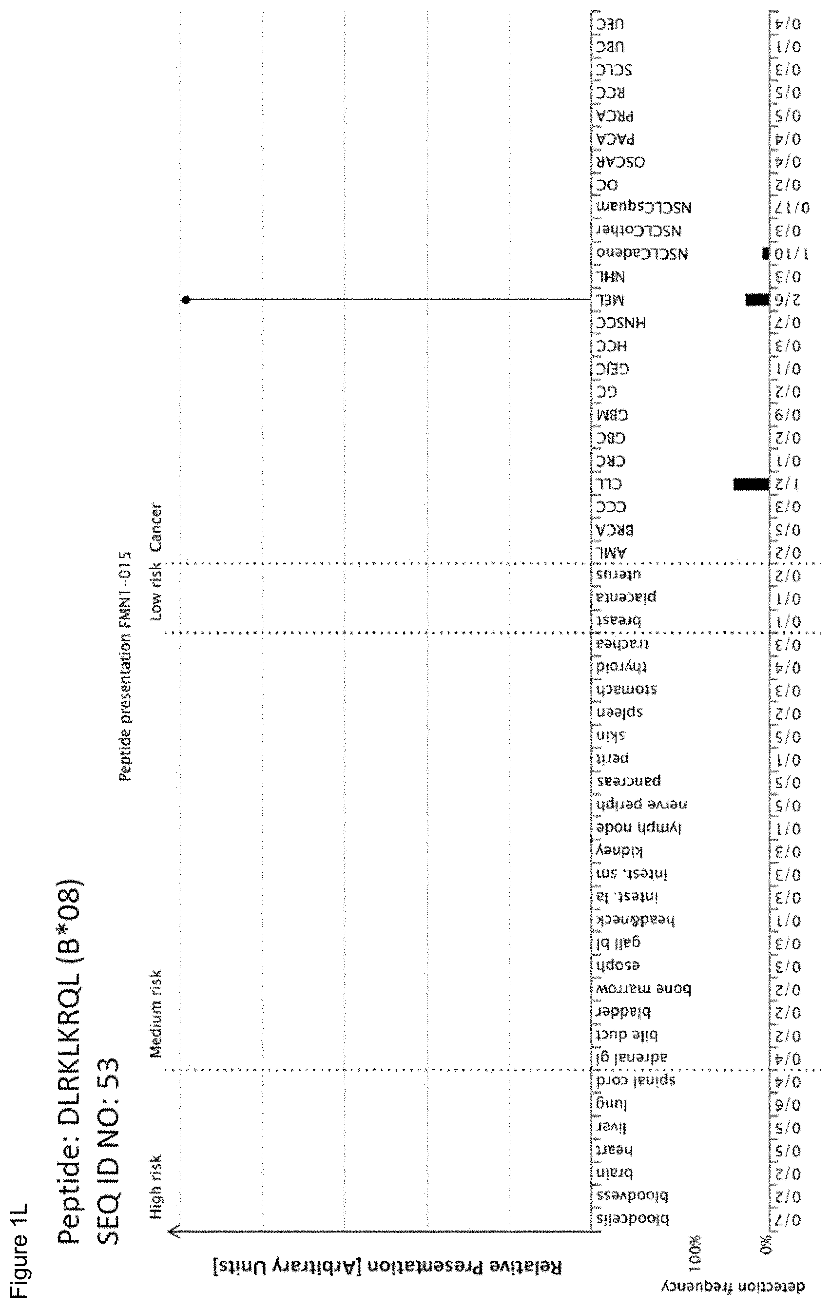 Patent US11779605 Figure 12 – Immunotherapy with b*08 restricted peptides and combination of peptides against cancers and related methods