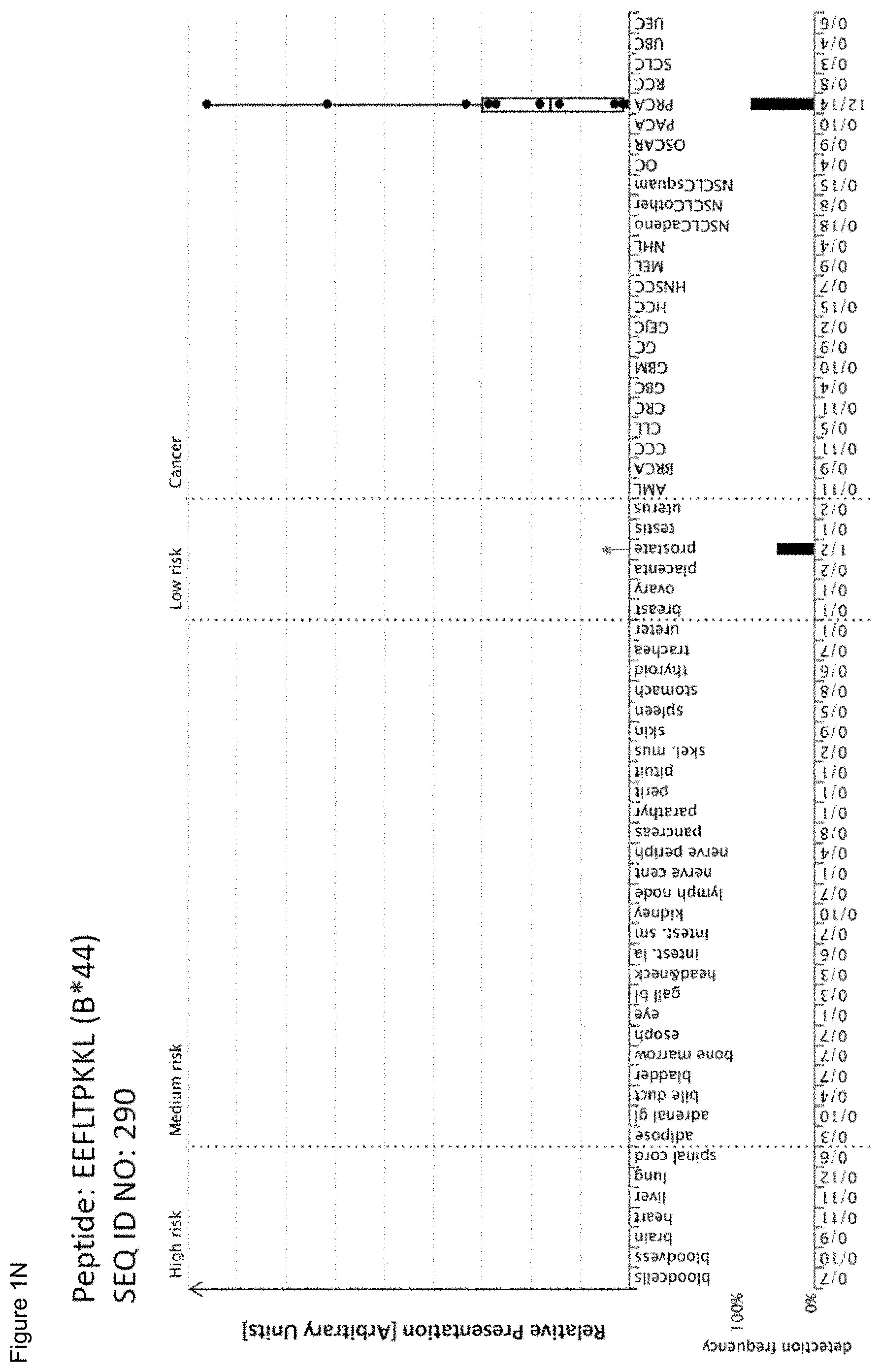 Patent US11779605 Figure 14 – Immunotherapy with b*08 restricted peptides and combination of peptides against cancers and related methods