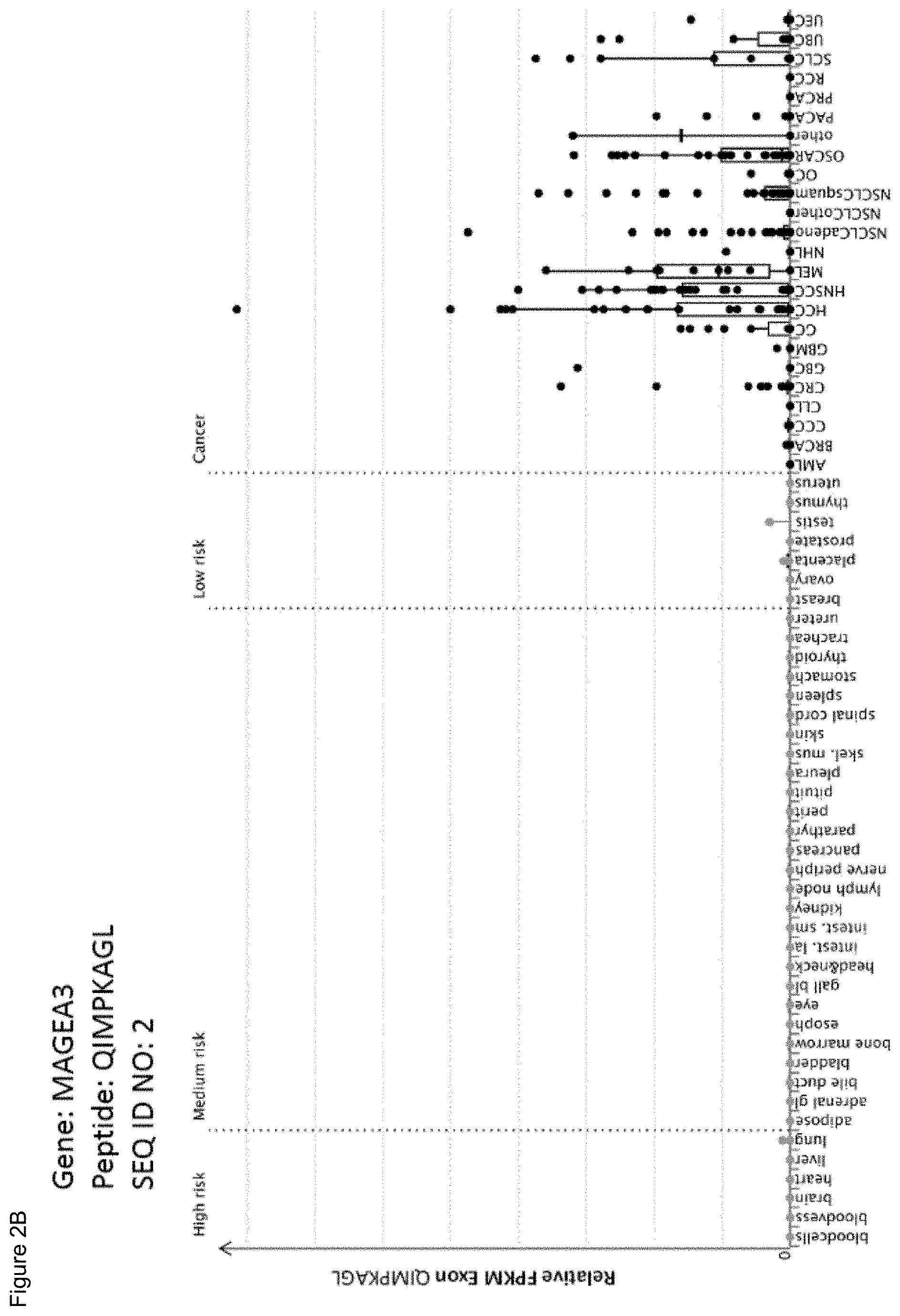 Patent US11779605 Figure 17 – Immunotherapy with b*08 restricted peptides and combination of peptides against cancers and related methods