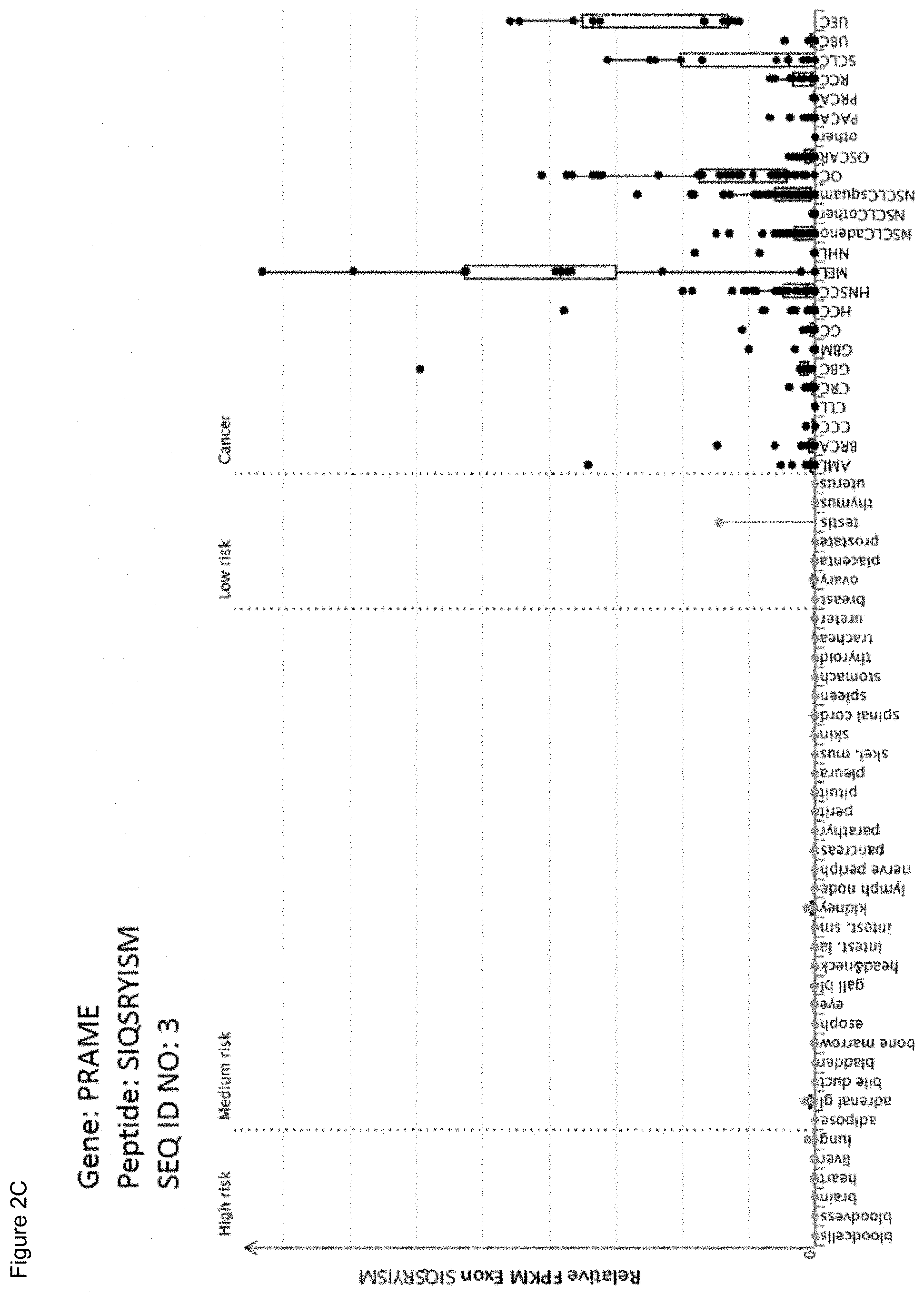 Patent US11779605 Figure 18 – Immunotherapy with b*08 restricted peptides and combination of peptides against cancers and related methods