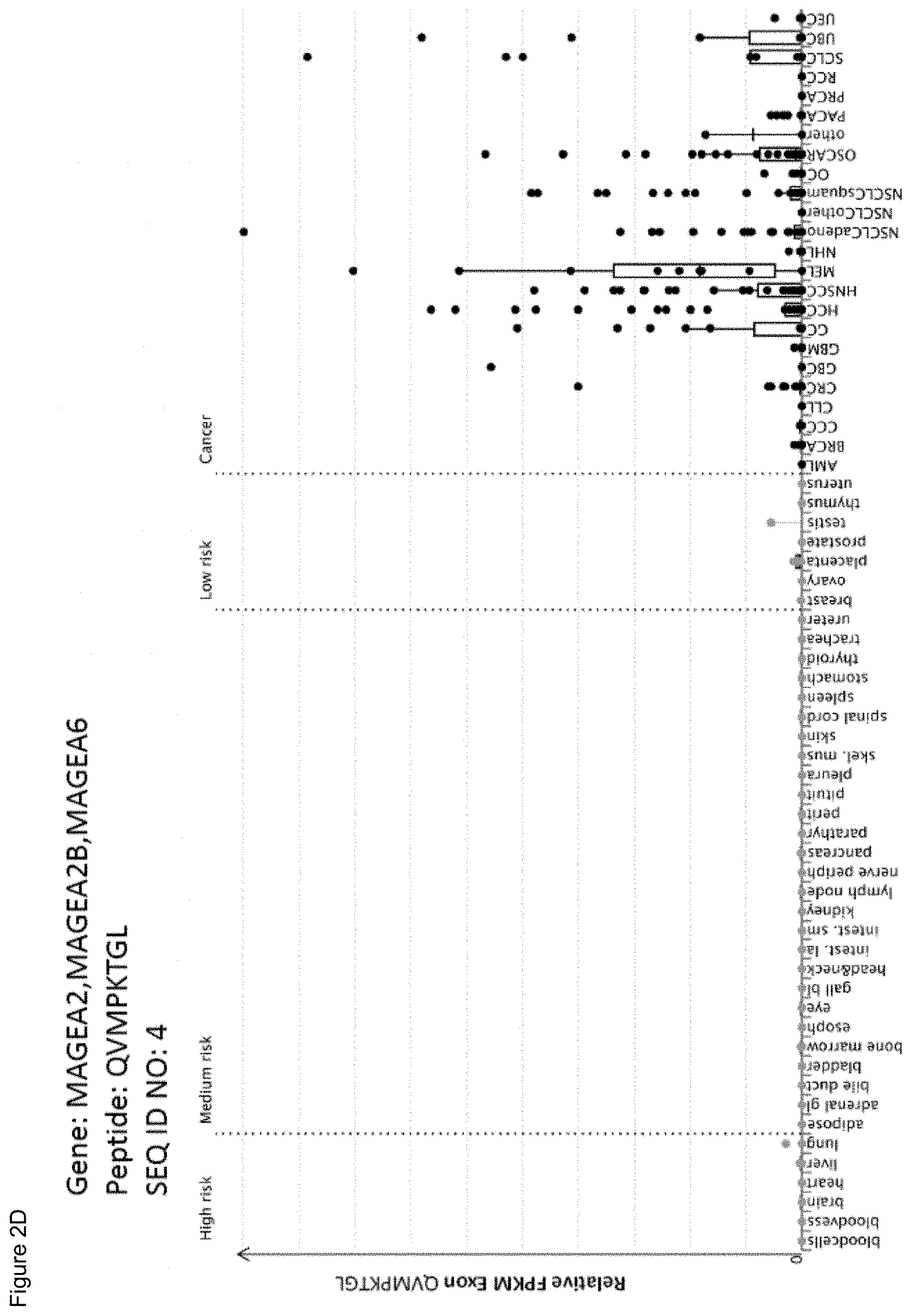 Patent US11779605 Figure 19 – Immunotherapy with b*08 restricted peptides and combination of peptides against cancers and related methods