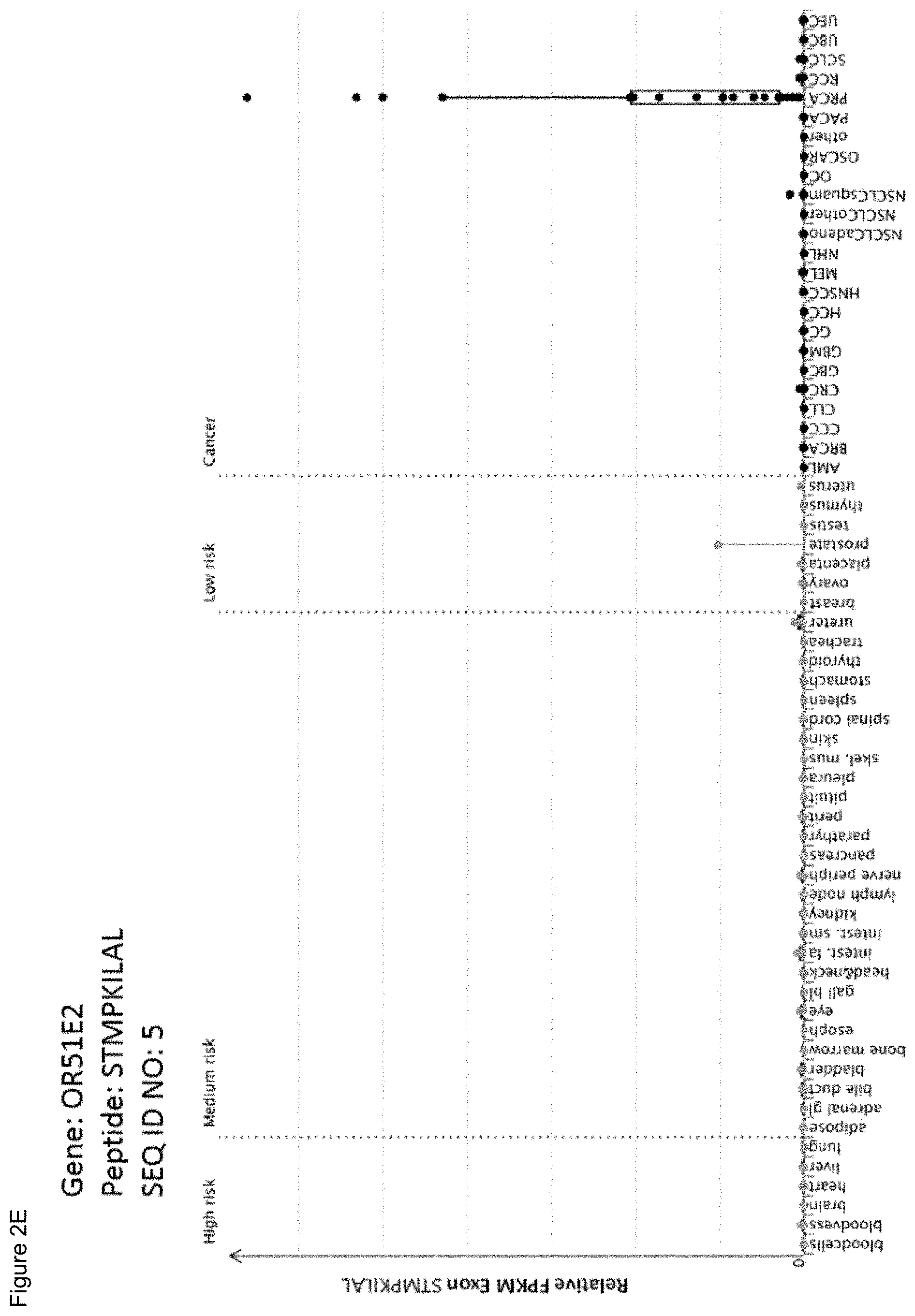 Patent US11779605 Figure 20 – Immunotherapy with b*08 restricted peptides and combination of peptides against cancers and related methods
