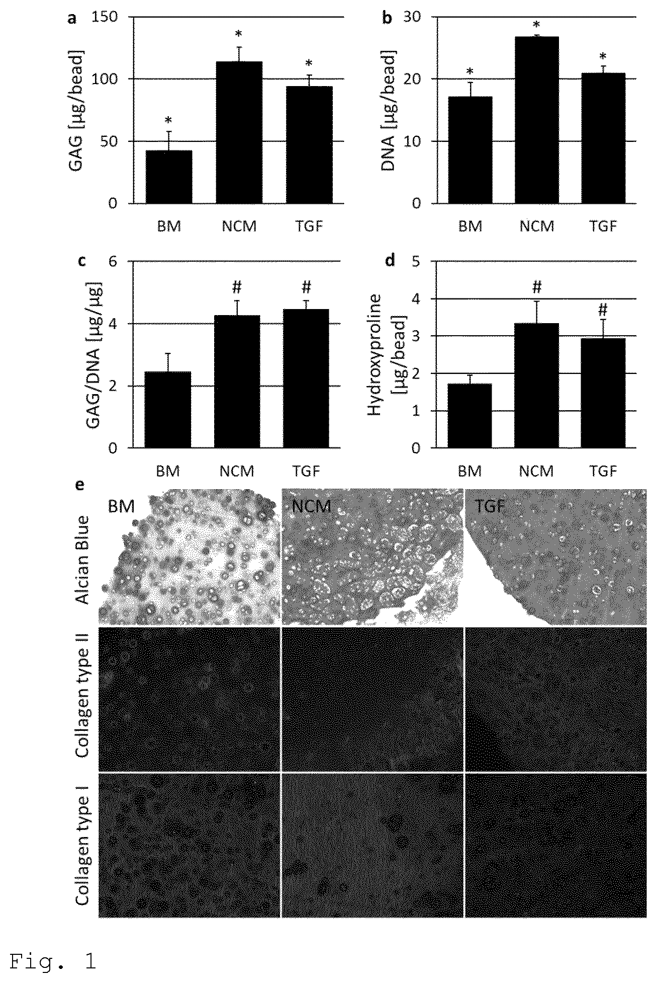 Patent US11779609 Figure 1 – Notochordal cell matrix as a bioactive lubricant for the osteoarthritic joint