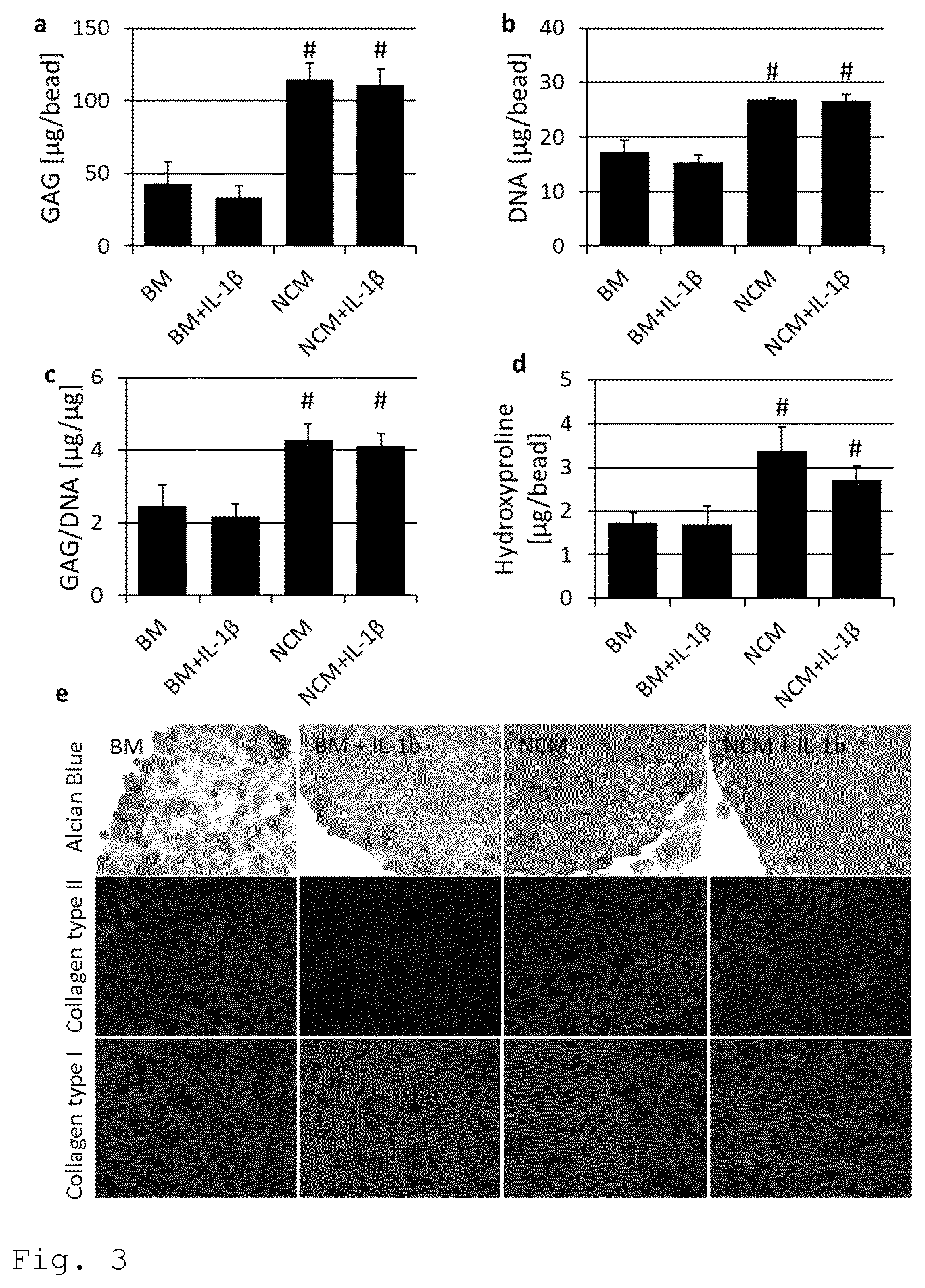 Patent US11779609 Figure 3 – Notochordal cell matrix as a bioactive lubricant for the osteoarthritic joint