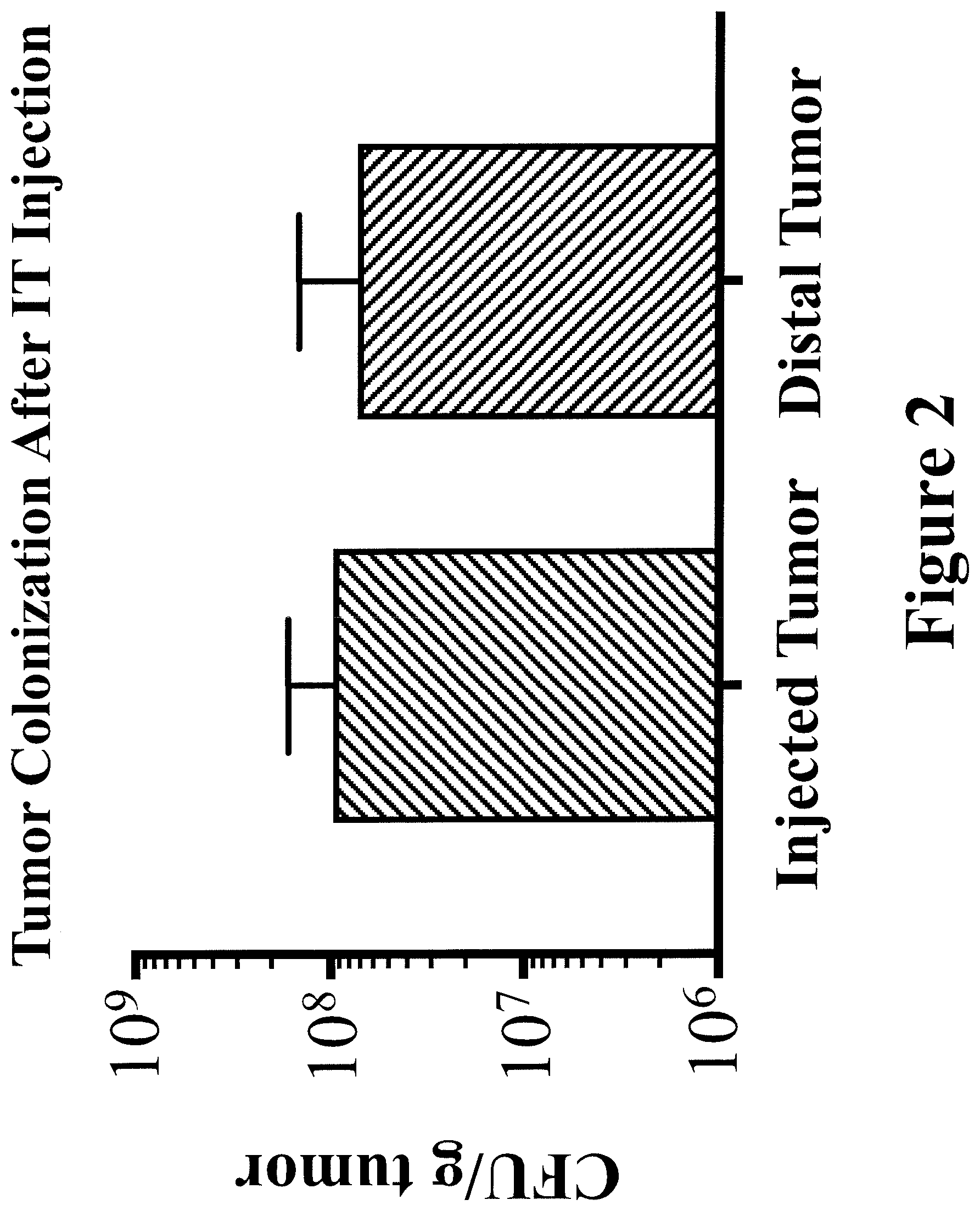 Patent US11779612 Figure 2 – Engineered immunostimulatory bacterial strains and uses thereof