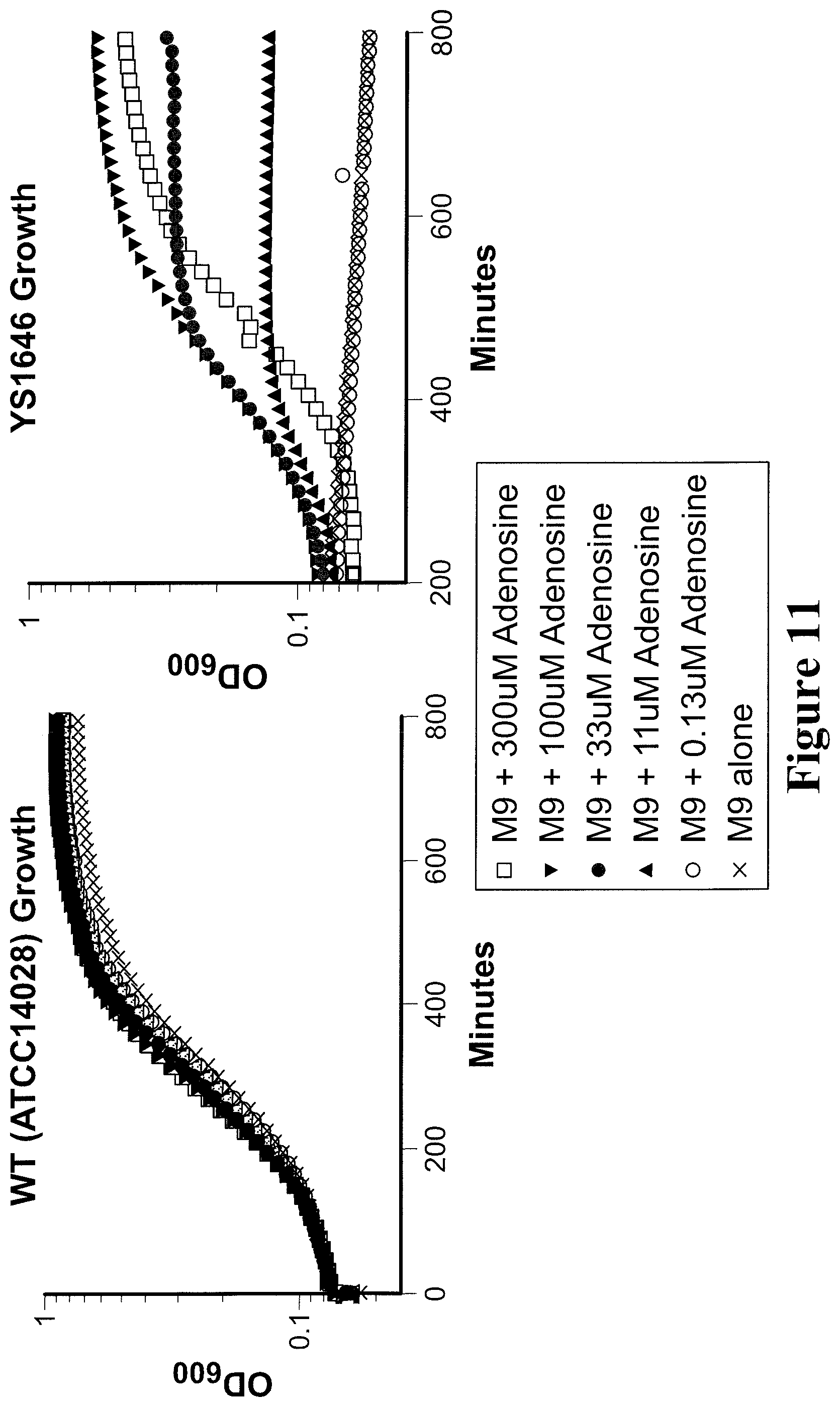 Patent US11779612 Figure 11 – Engineered immunostimulatory bacterial strains and uses thereof