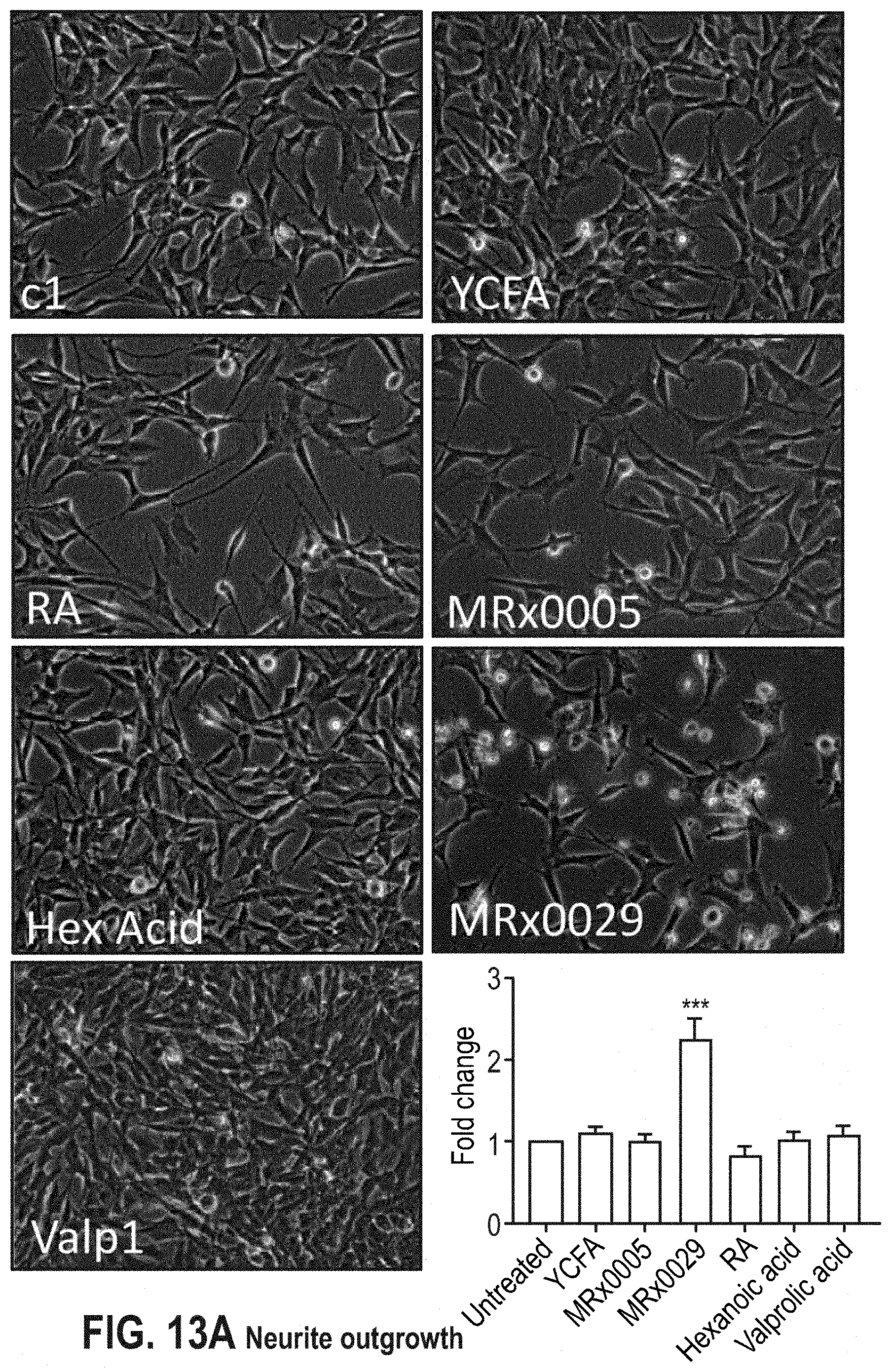 Patent US11779613 Figure 10 – Compositions comprising a bacterial strain of the genus Megasphera and uses thereof