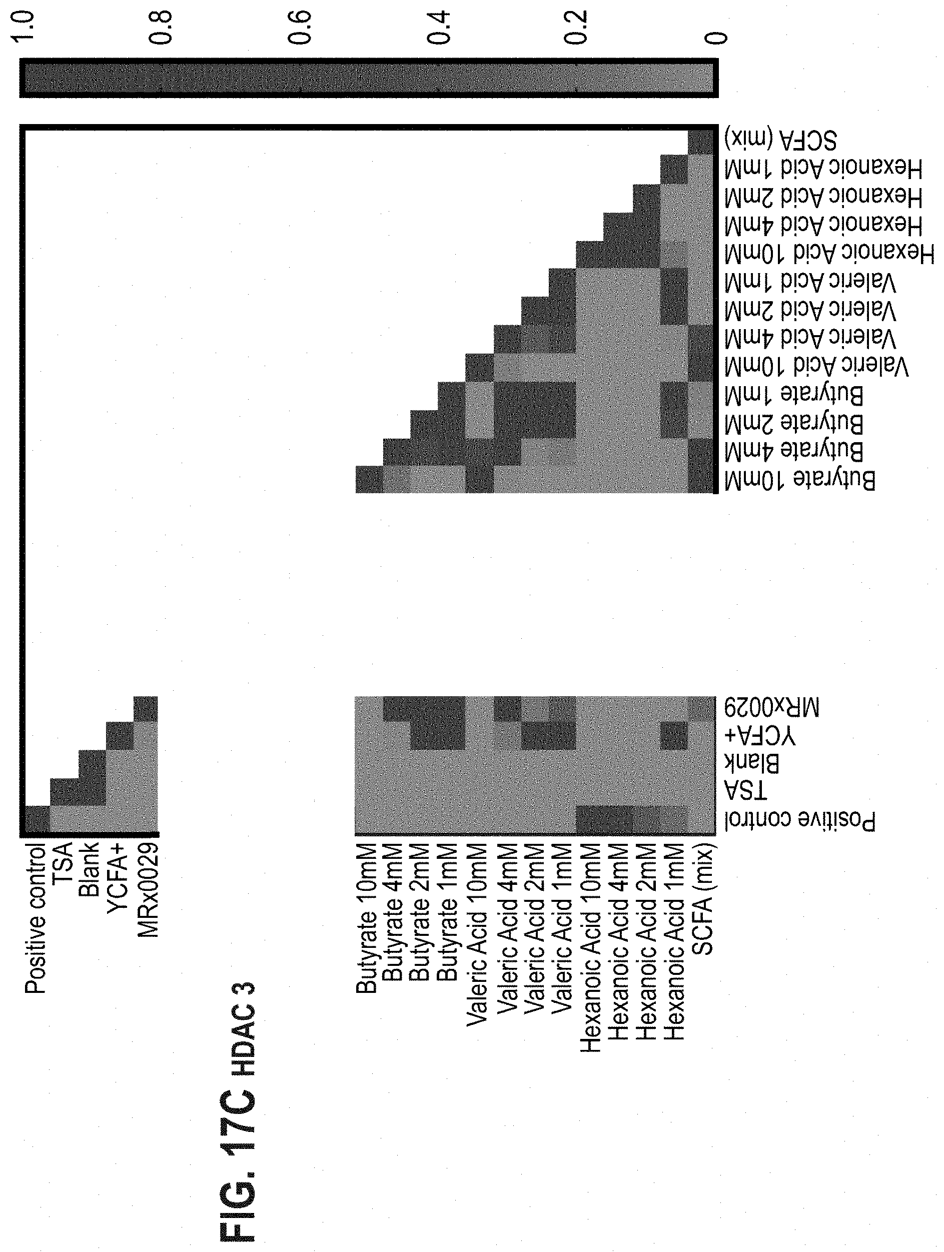 Patent US11779613 Figure 18 – Compositions comprising a bacterial strain of the genus Megasphera and uses thereof