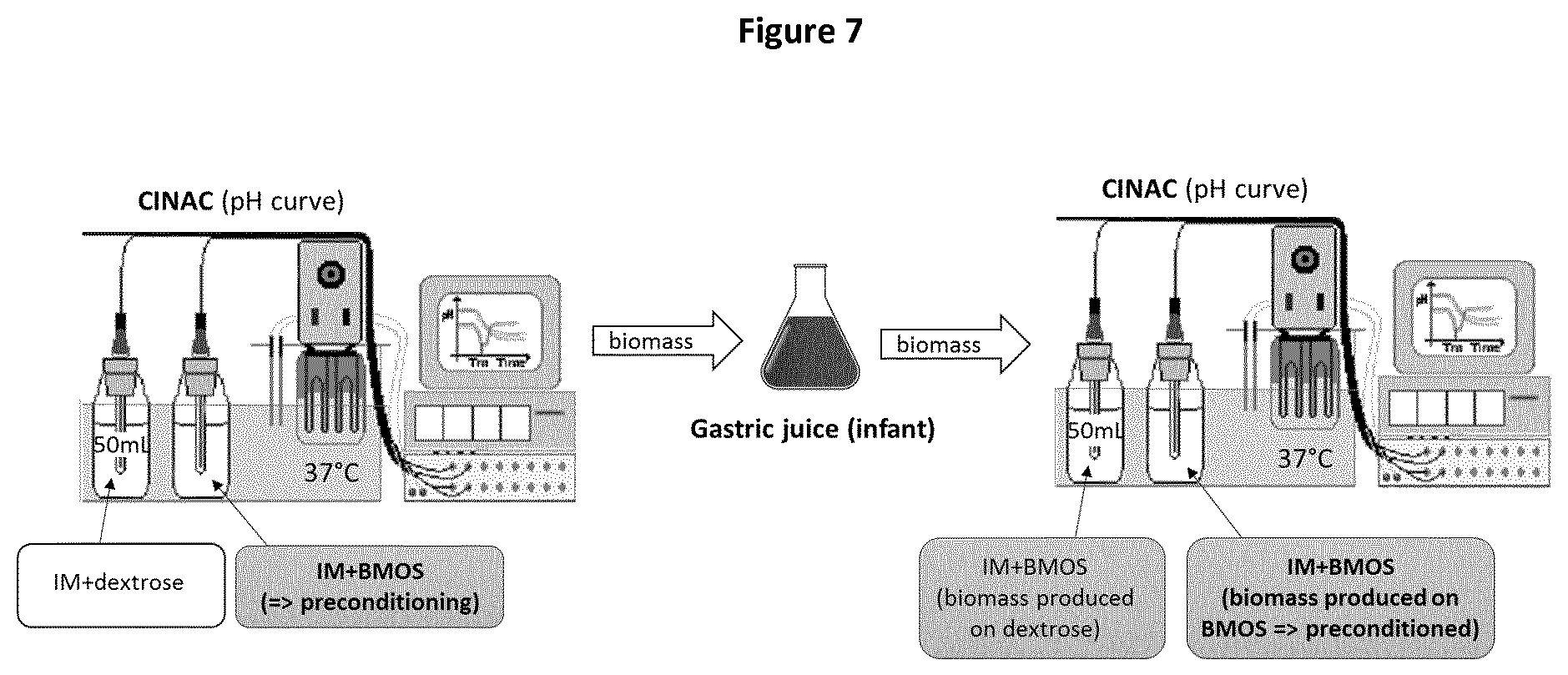 Patent US11779614 Figure 7 – Probiotic bacteria preconditioned in a GOS-containing medium and use thereof