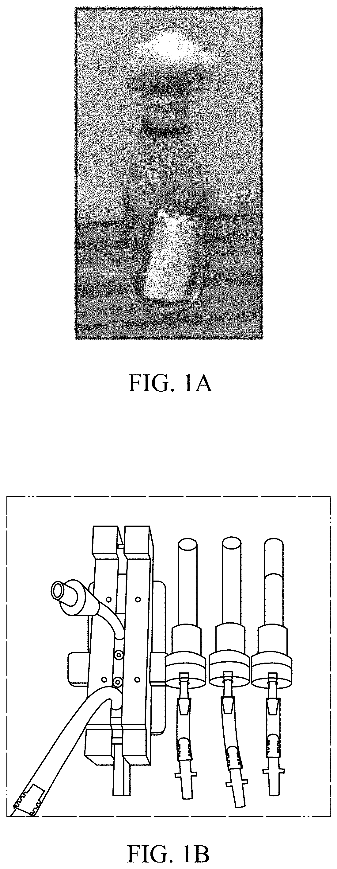 Patent US11779616 Figure 1 – Method of improving memory and learning ability