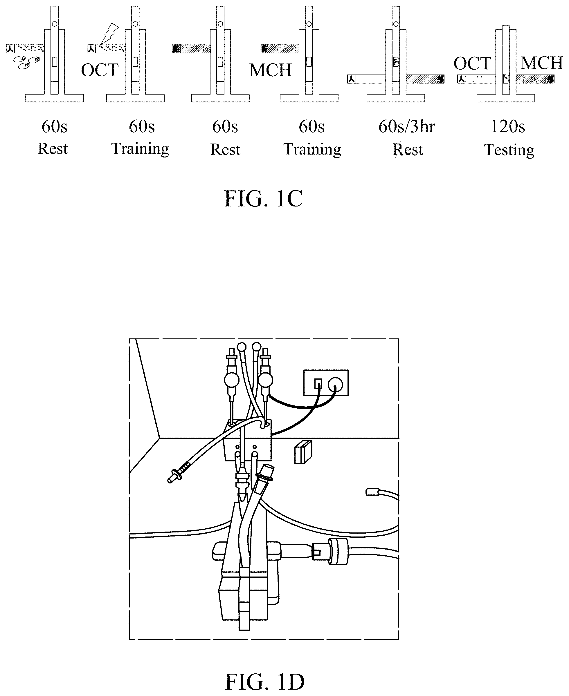 Patent US11779616 Figure 2 – Method of improving memory and learning ability