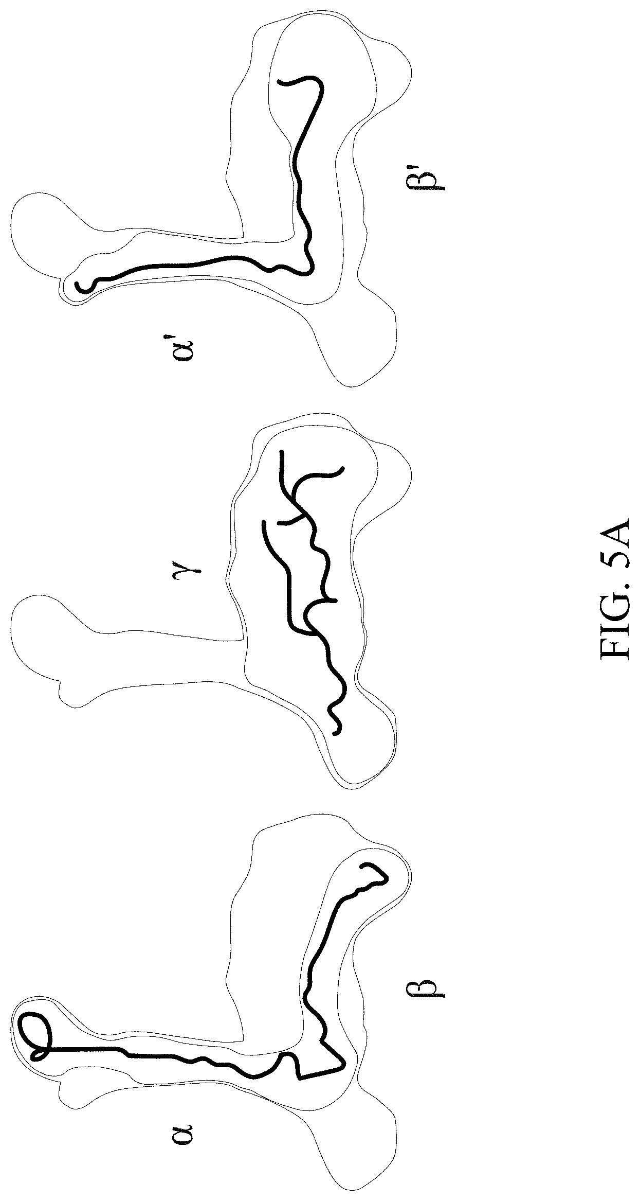 Patent US11779616 Figure 11 – Method of improving memory and learning ability