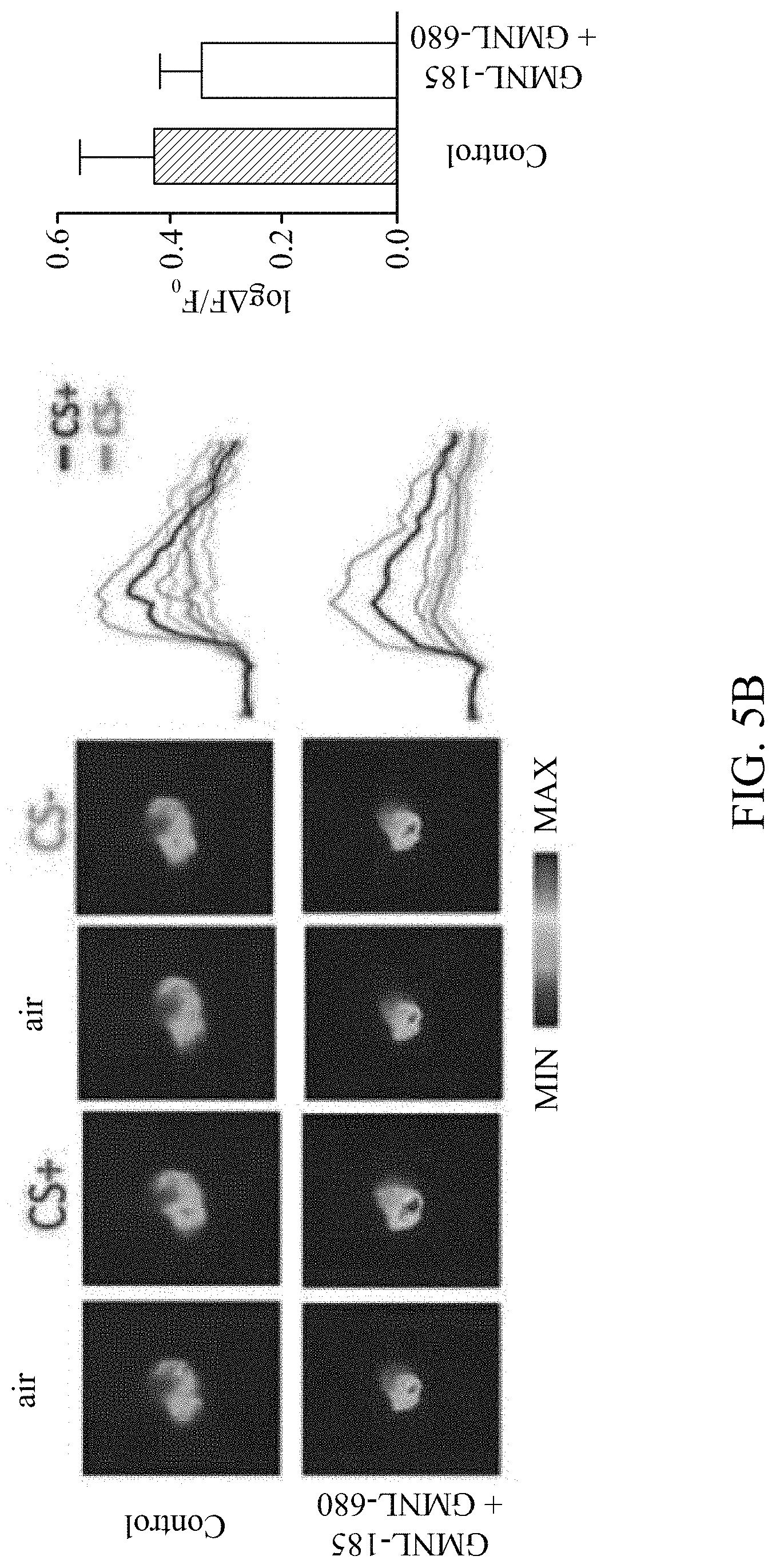 Patent US11779616 Figure 12 – Method of improving memory and learning ability