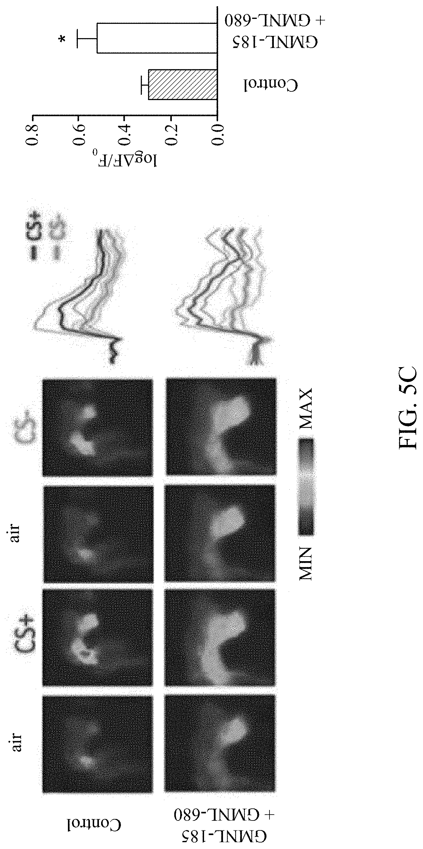 Patent US11779616 Figure 13 – Method of improving memory and learning ability