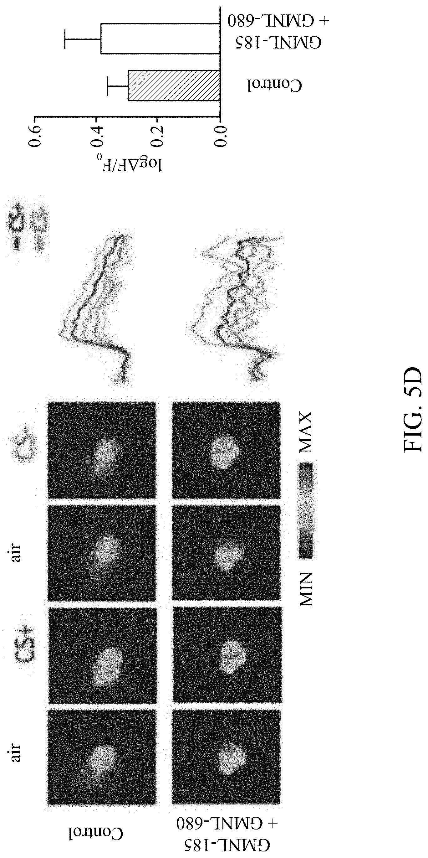Patent US11779616 Figure 14 – Method of improving memory and learning ability