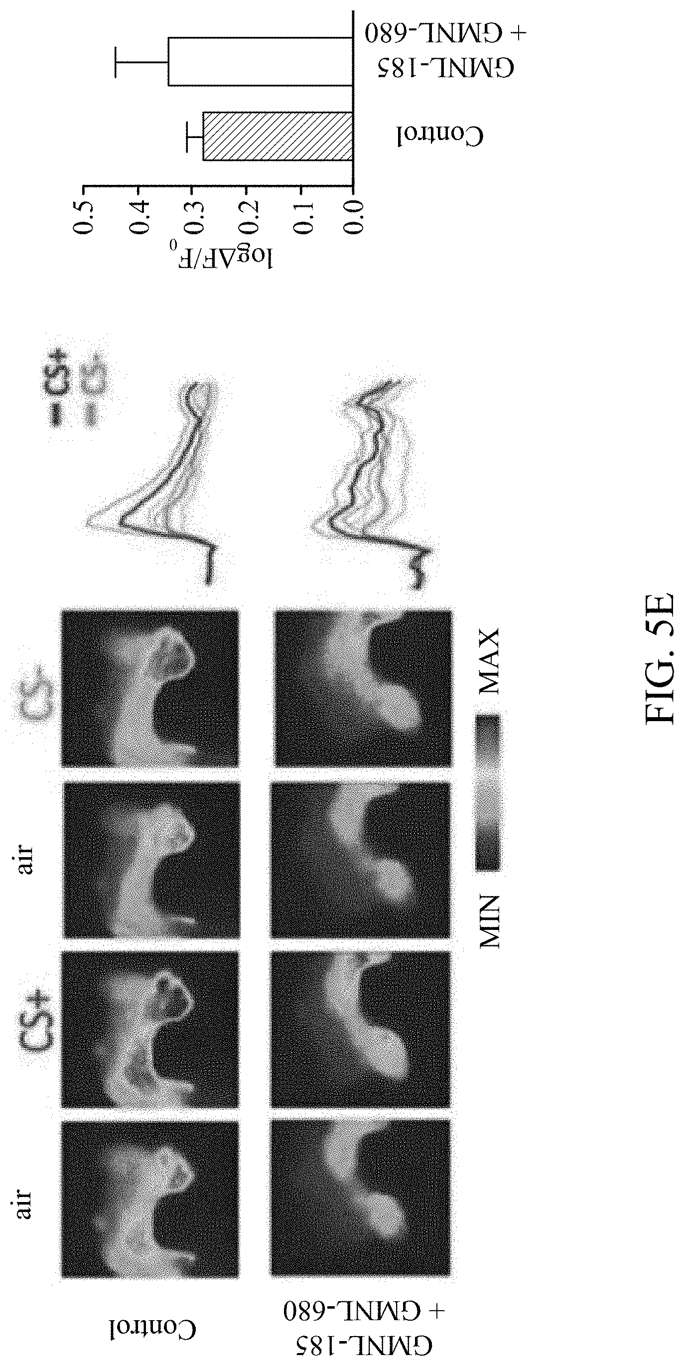 Patent US11779616 Figure 15 – Method of improving memory and learning ability