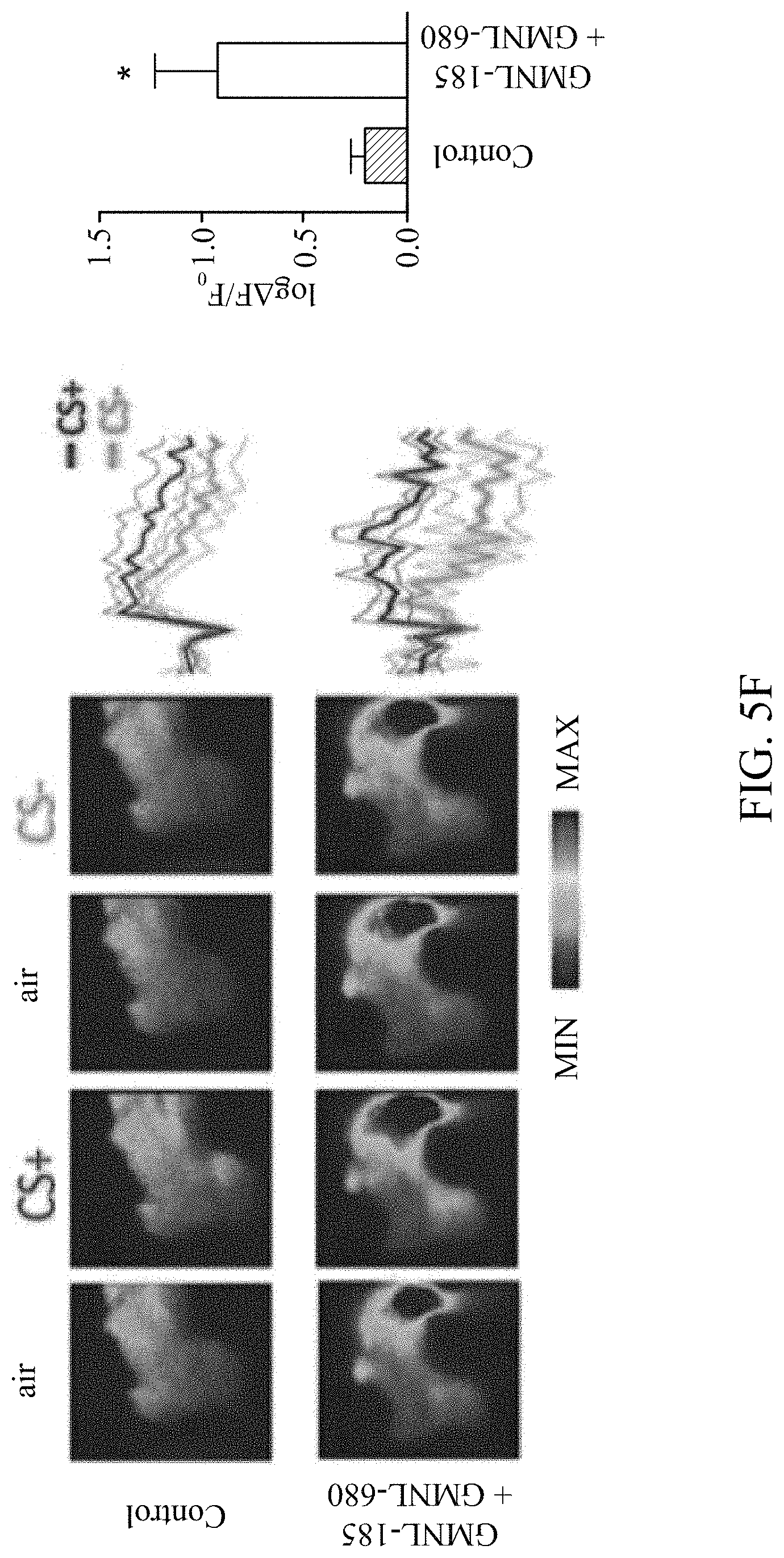 Patent US11779616 Figure 16 – Method of improving memory and learning ability
