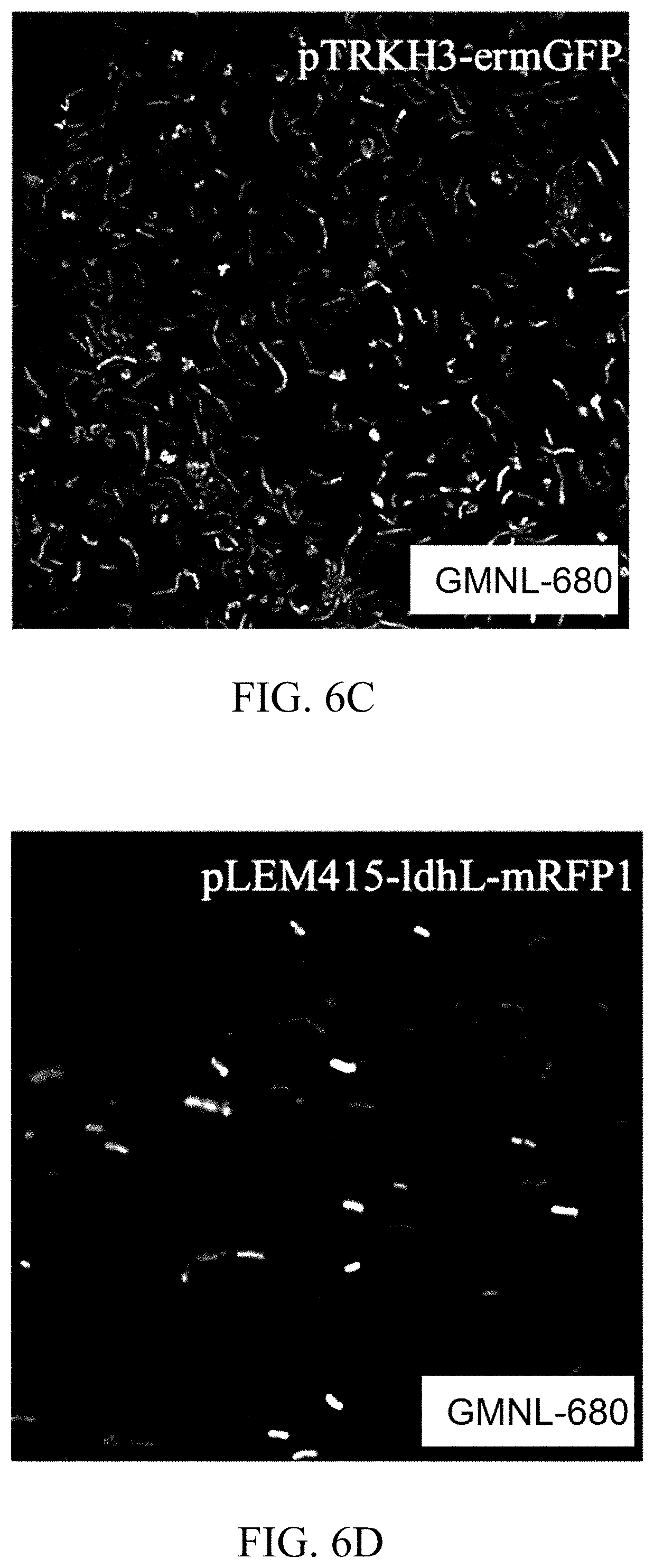Patent US11779616 Figure 18 – Method of improving memory and learning ability