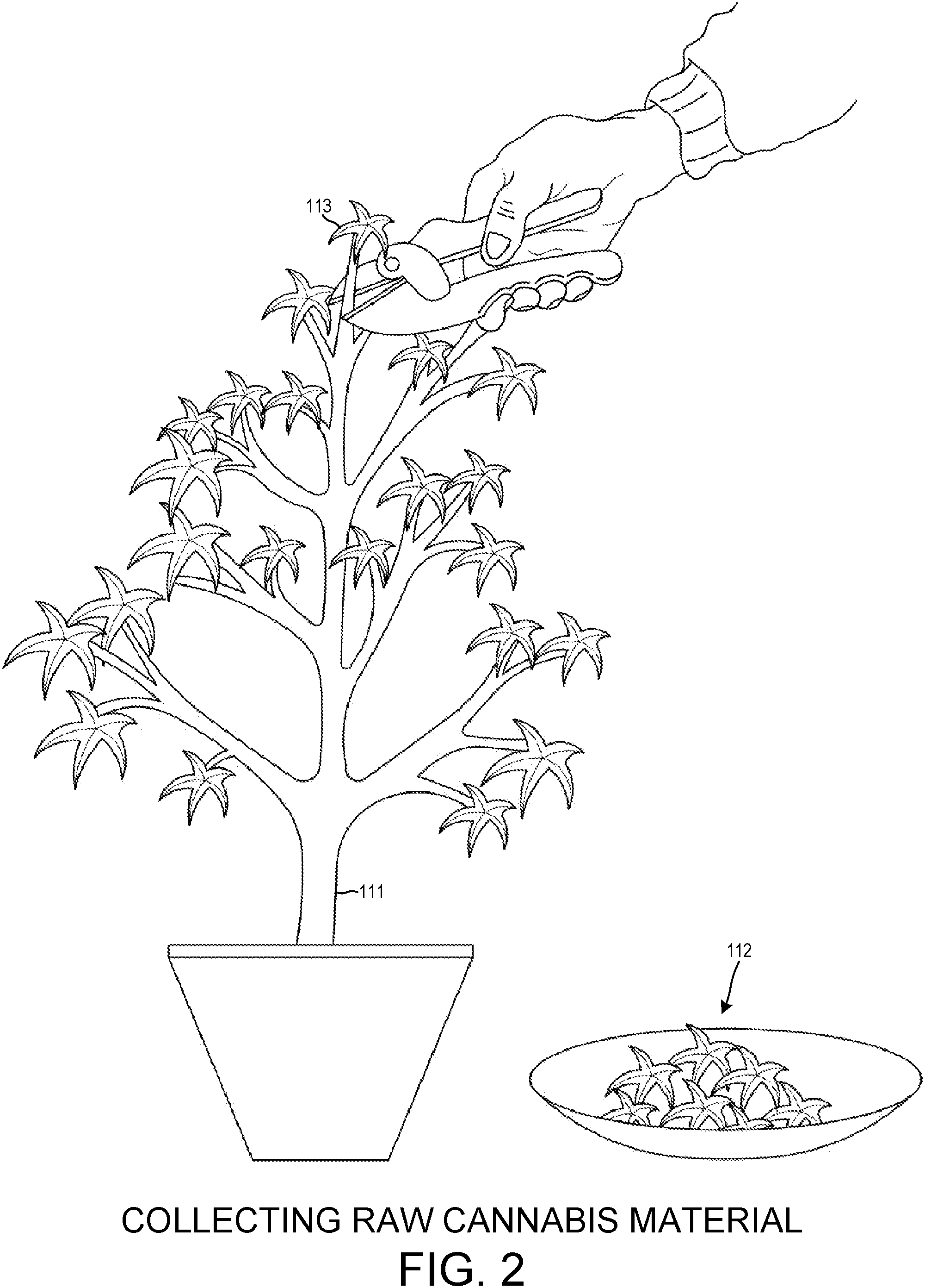 Patent US11779622 Figure 2 – Packaged raw cannabis powder