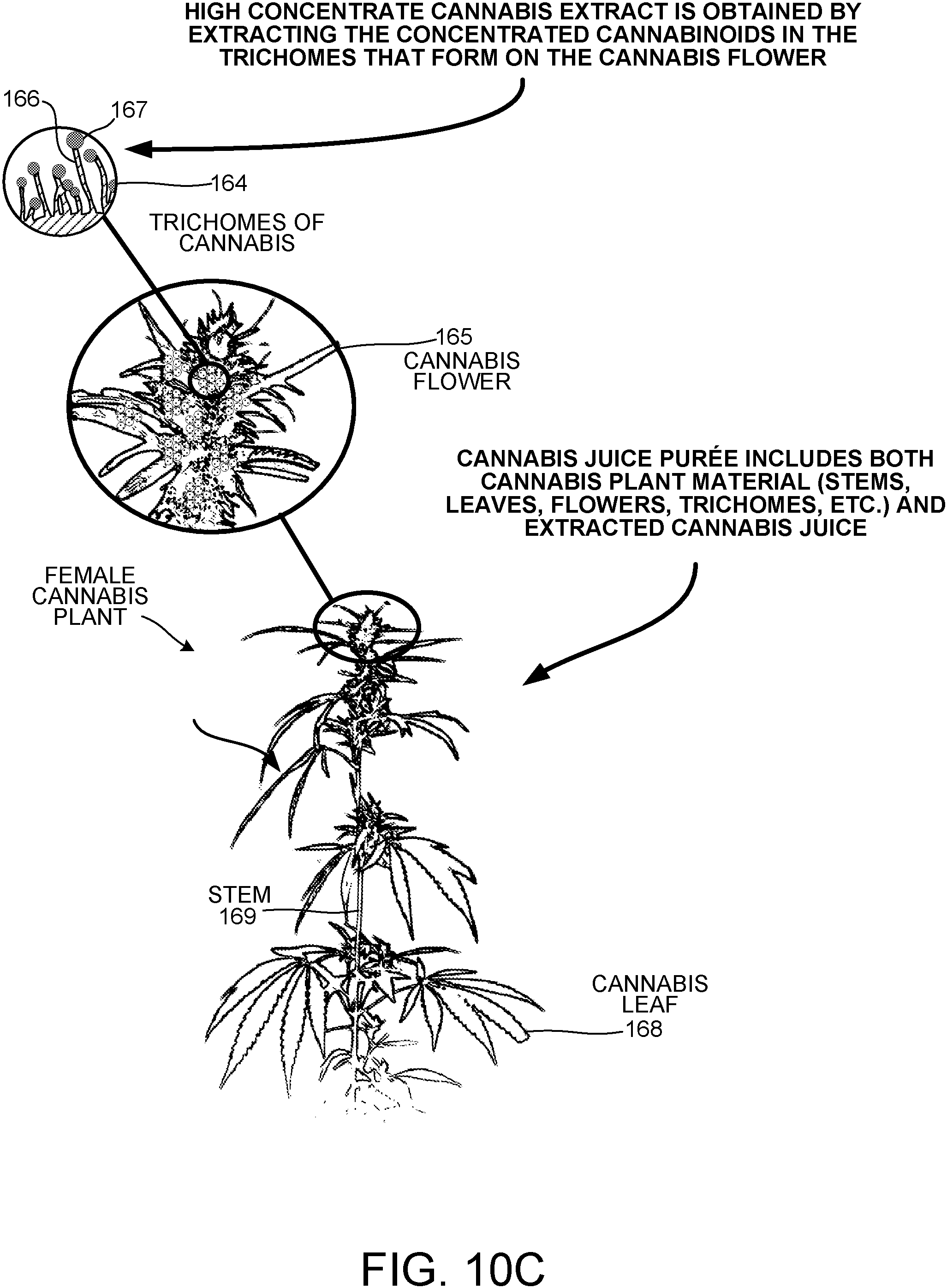 Patent US11779622 Figure 9 – Packaged raw cannabis powder