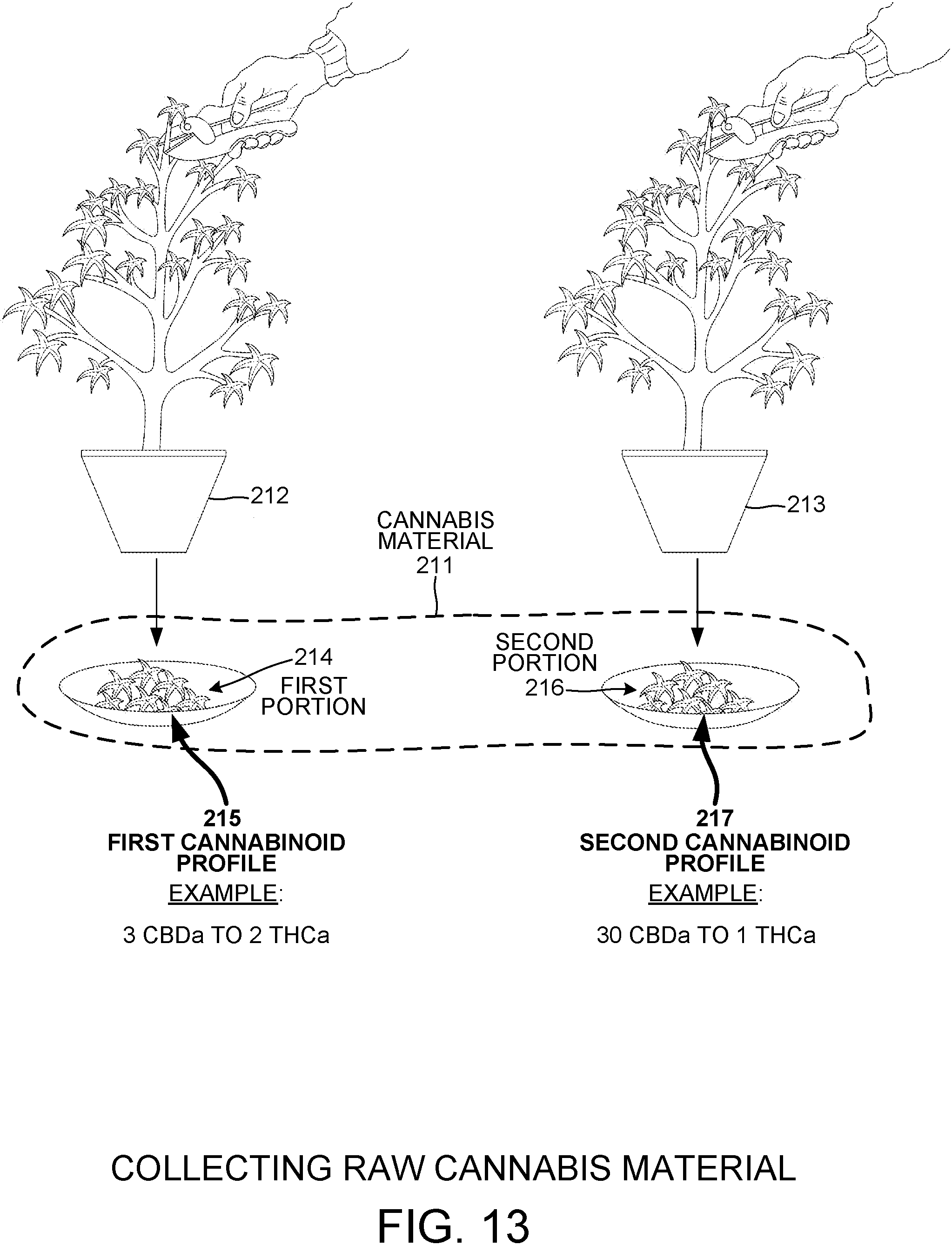 Patent US11779622 Figure 13 – Packaged raw cannabis powder