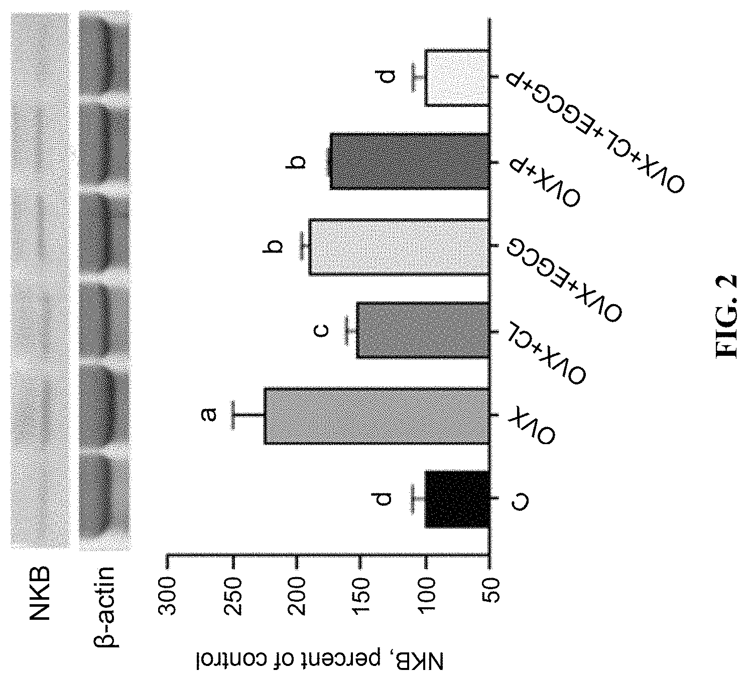 Patent US11779627 Figure 4 – Curcumin compositions and methods of use as an NK3 antagonist